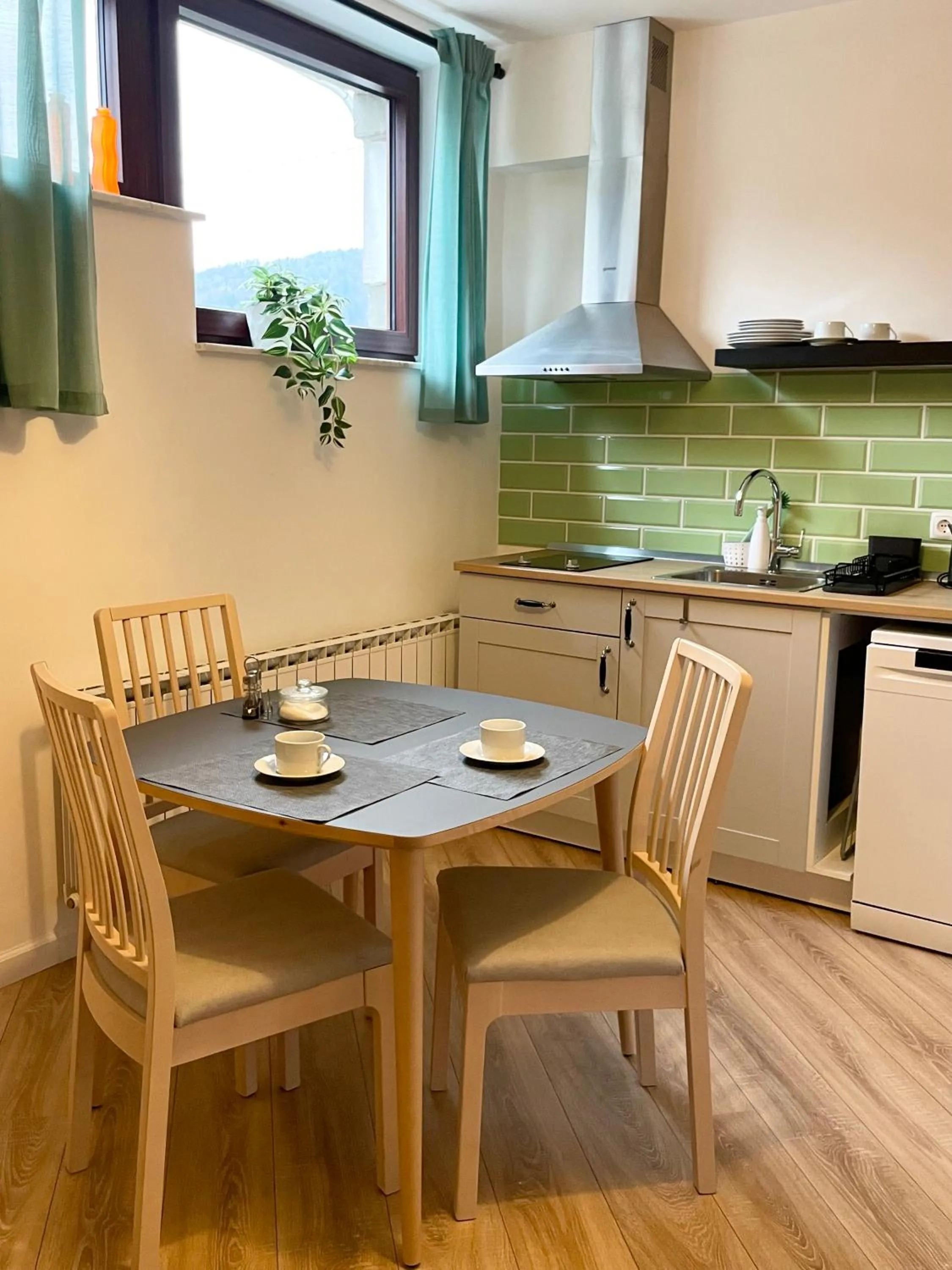 Kitchen or kitchenette in All Seasons Apartments Laško