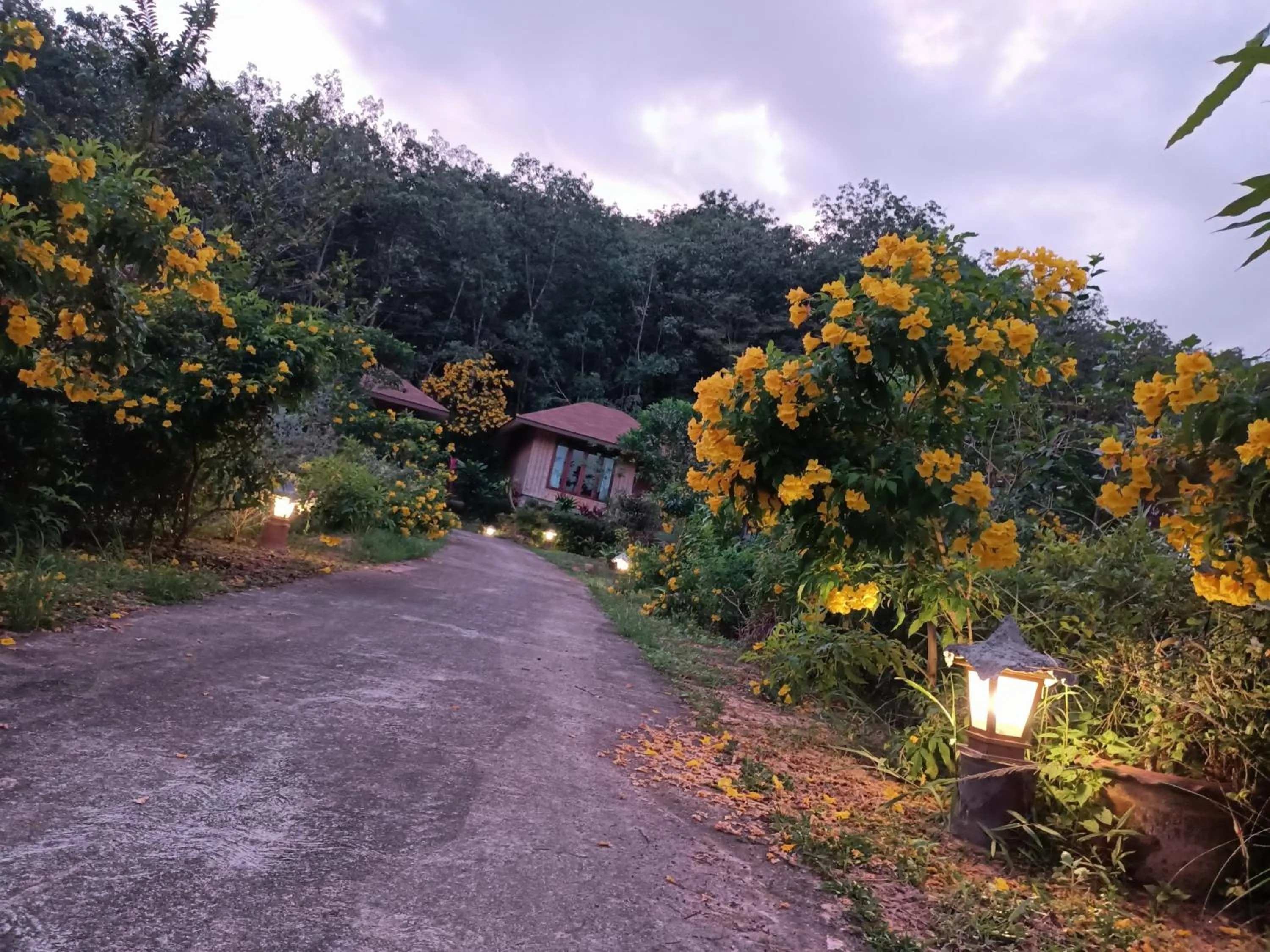 Natural landscape in The mantra resort
