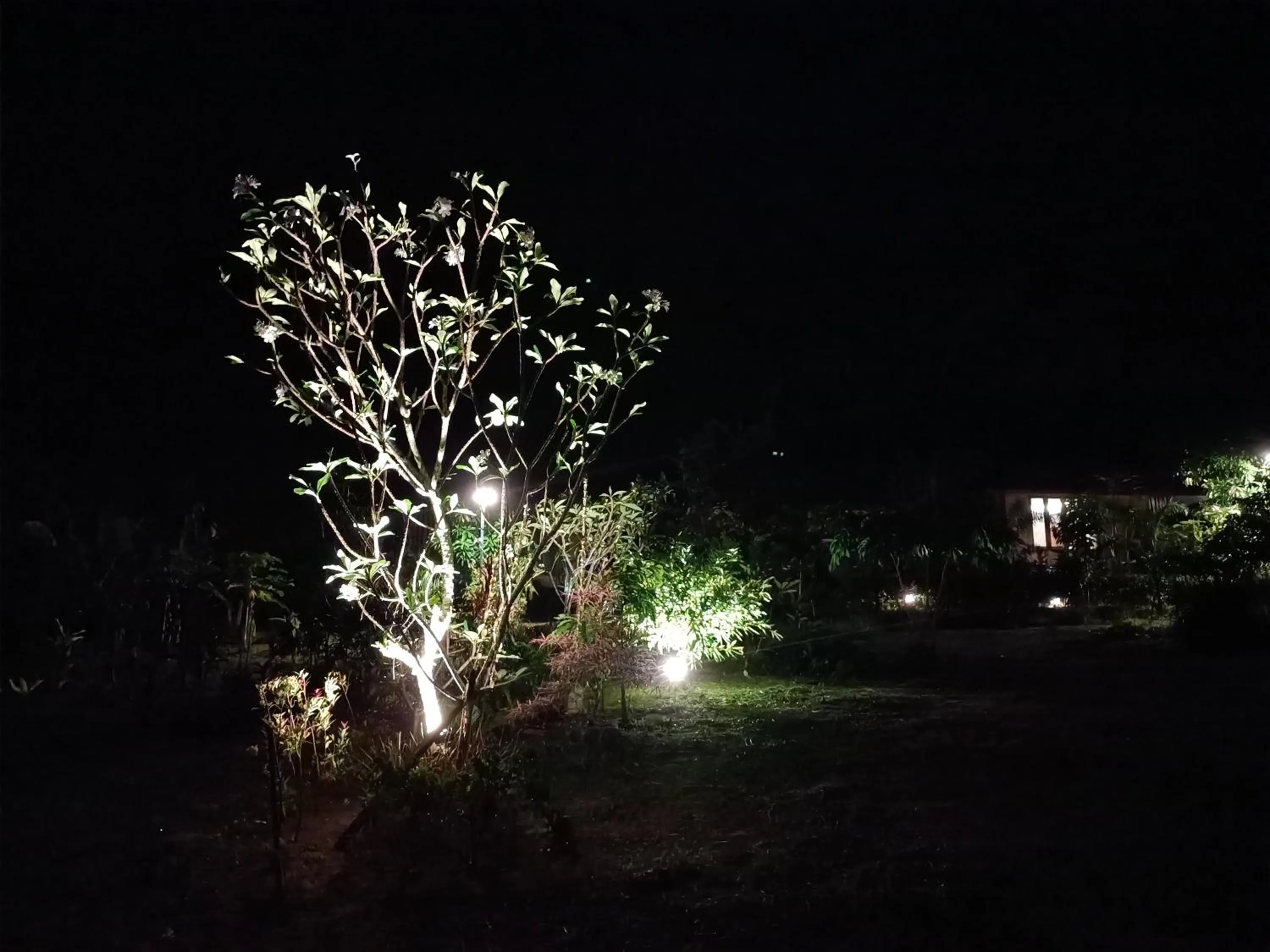 Night in The mantra resort