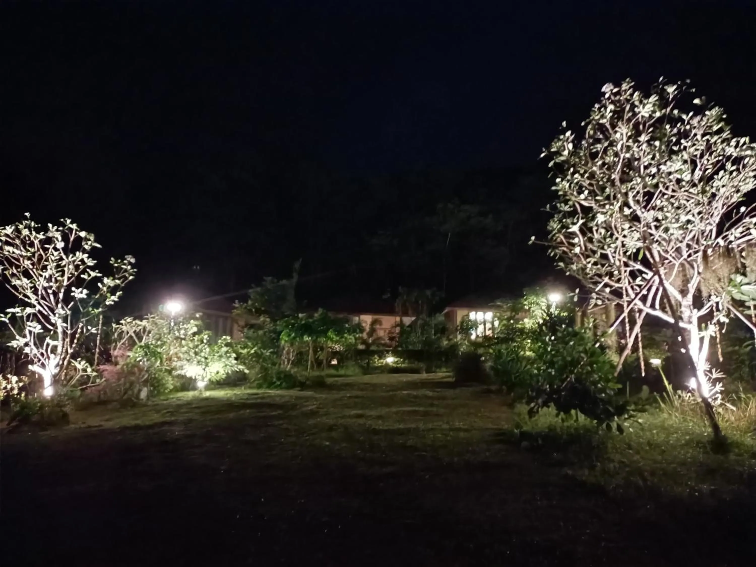 Night in The mantra resort