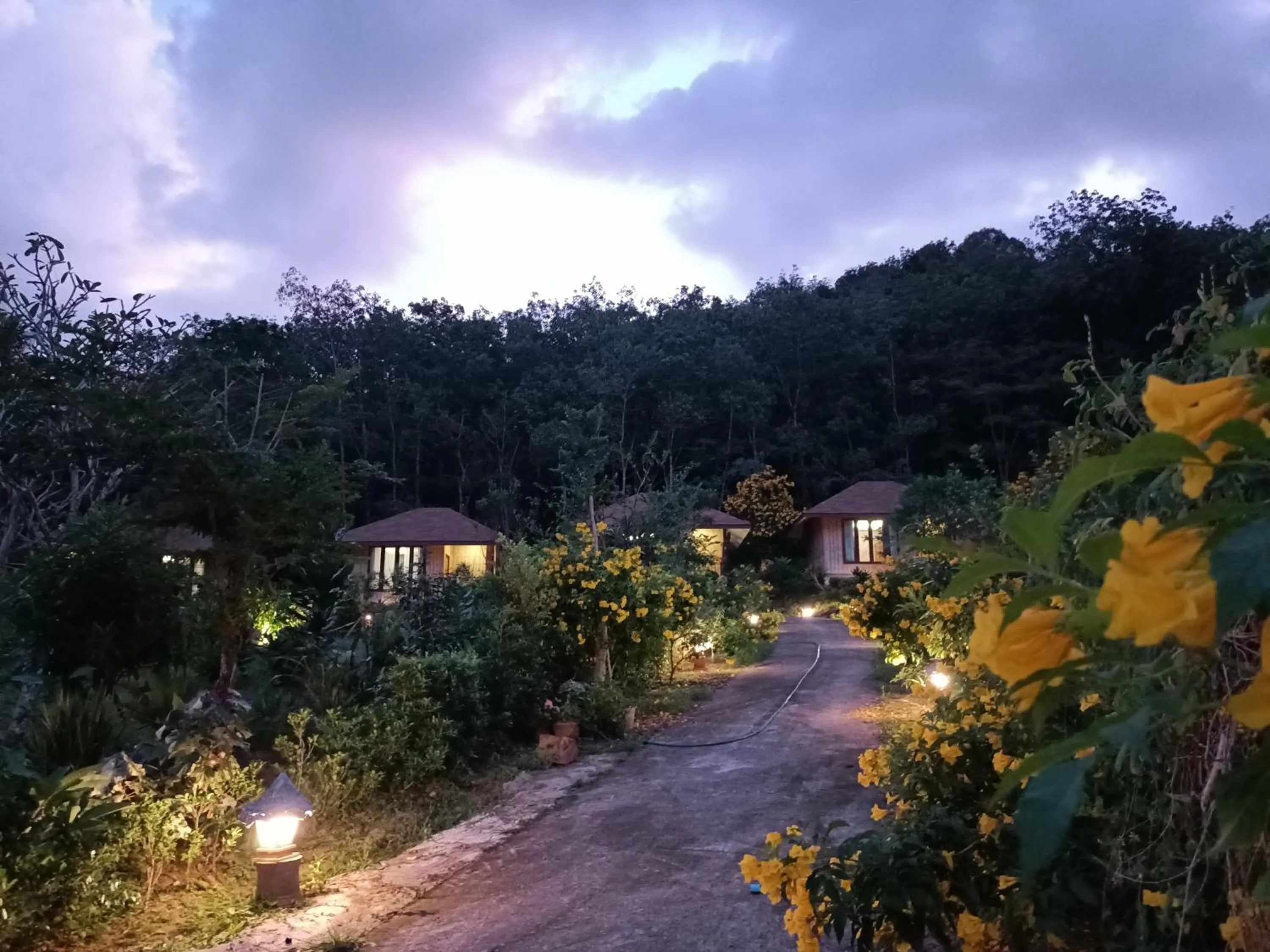 Night in The mantra resort