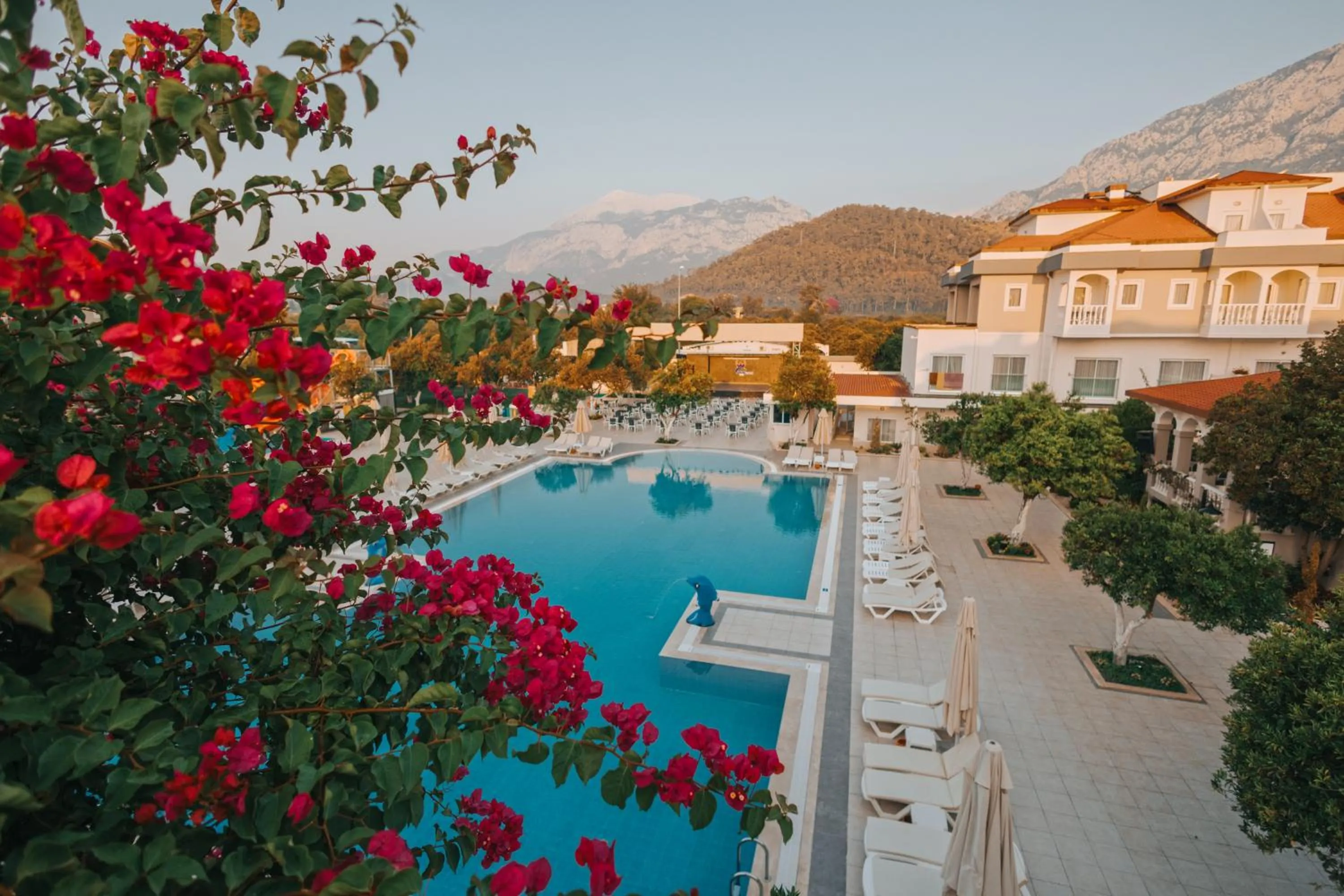 Pool view in Viking Garden Hotel