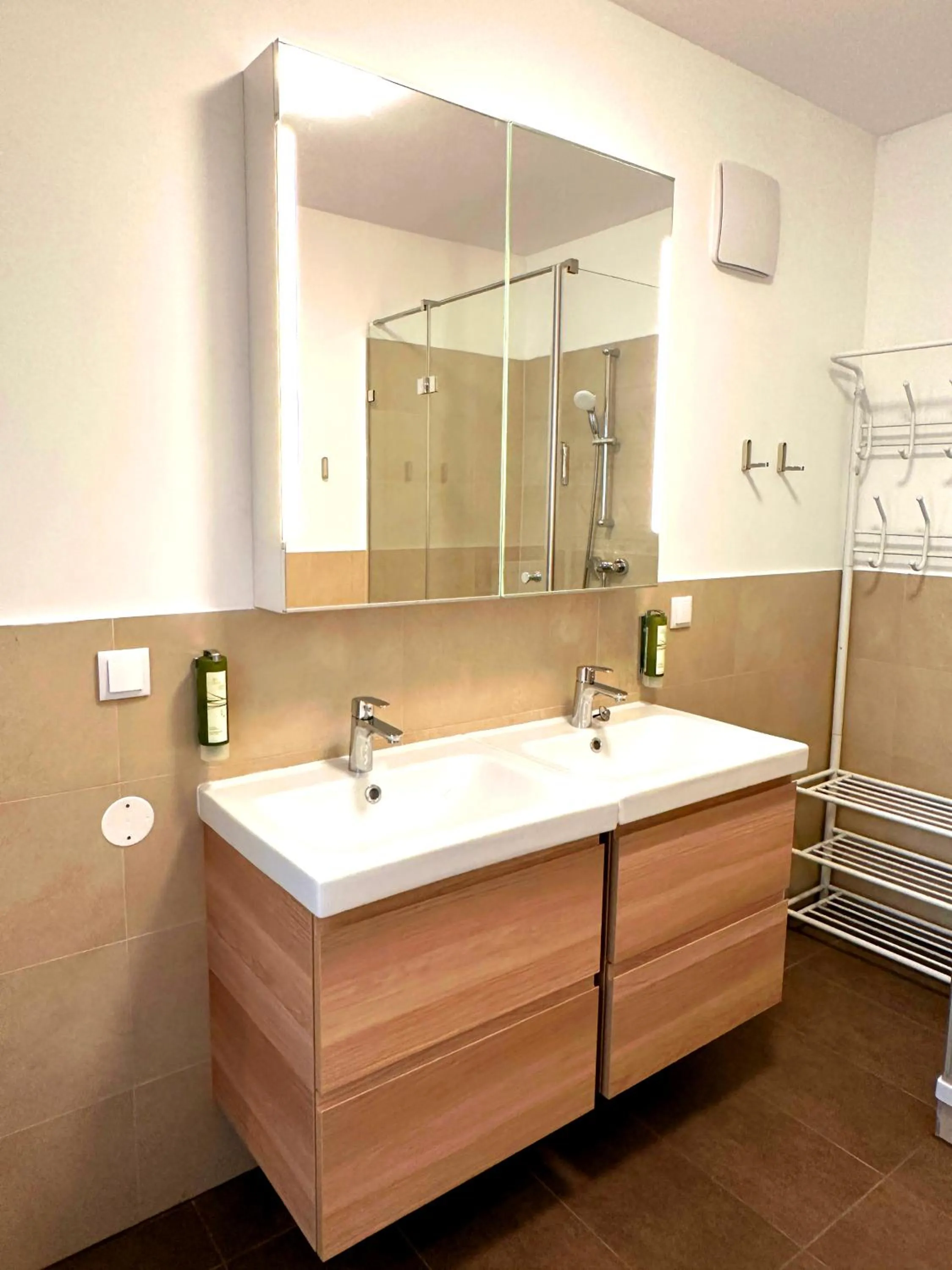 Bathroom in Jimmy's Apartments Dandelion