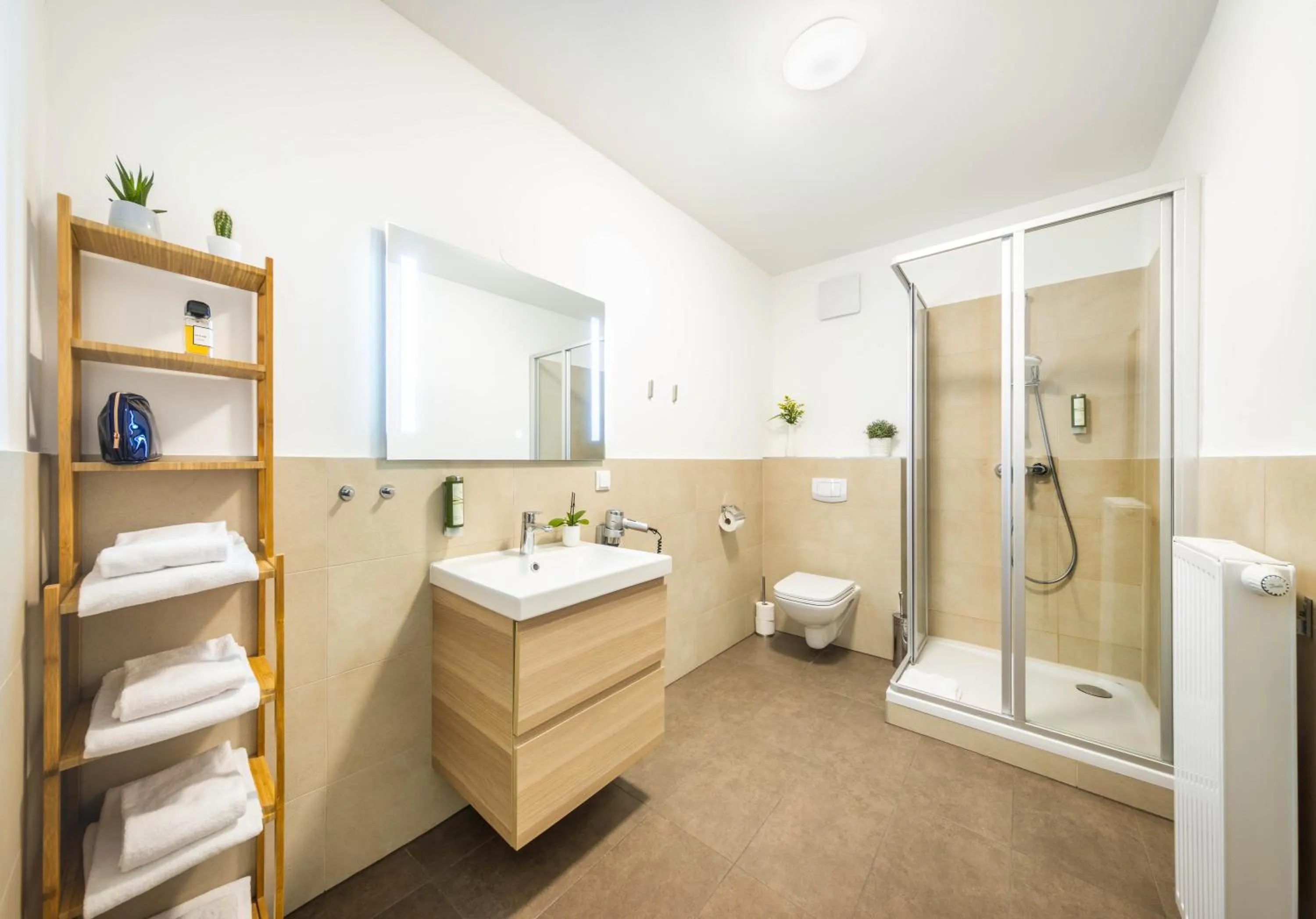 Shower in Jimmy's Apartments Dandelion