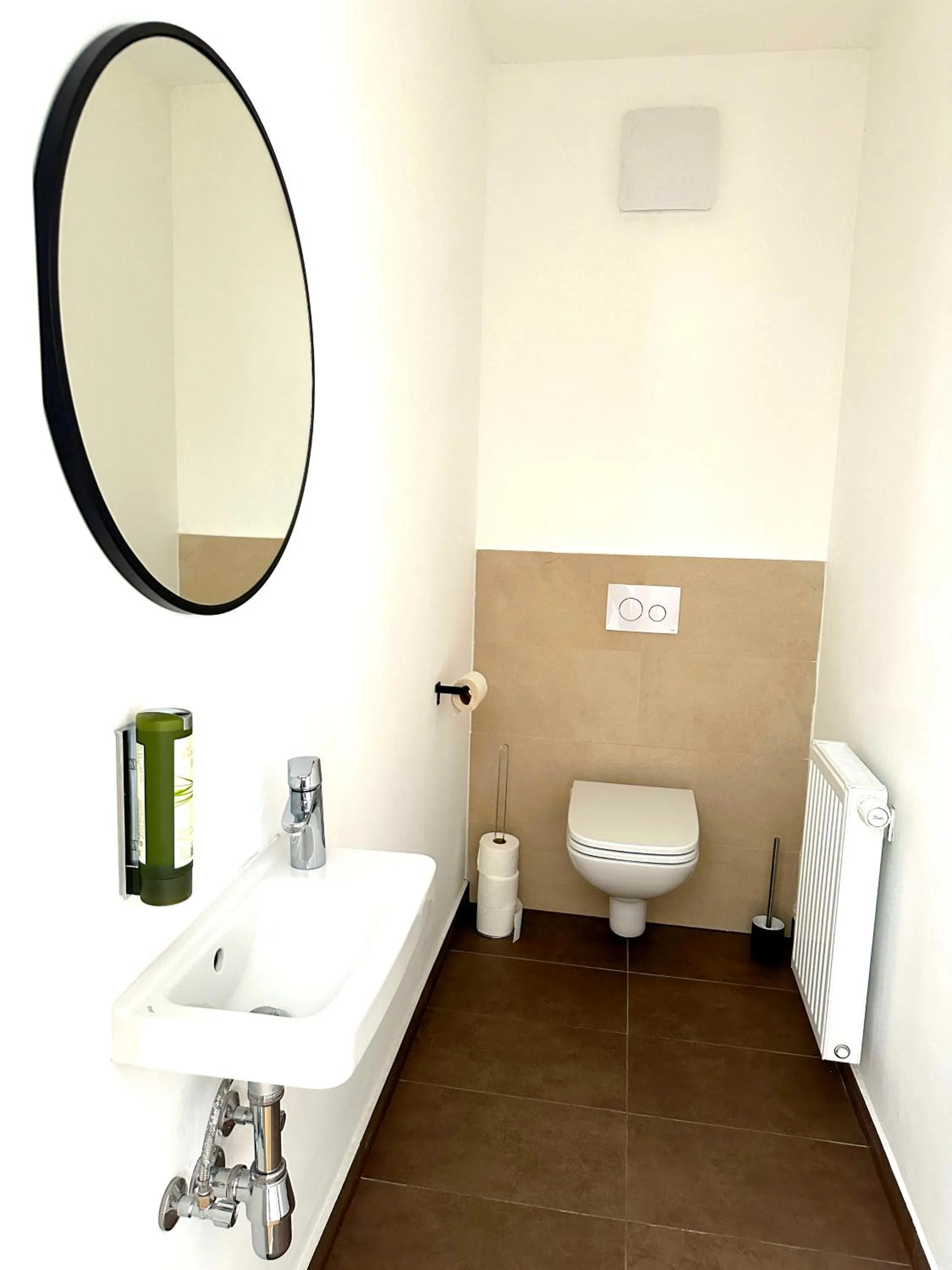 Toilet in Jimmy's Apartments Dandelion