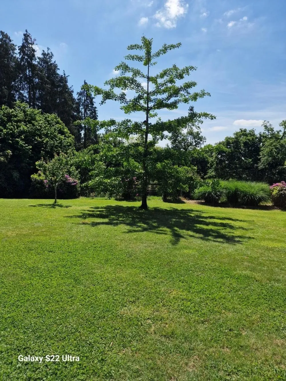 Garden in Les Korrigans