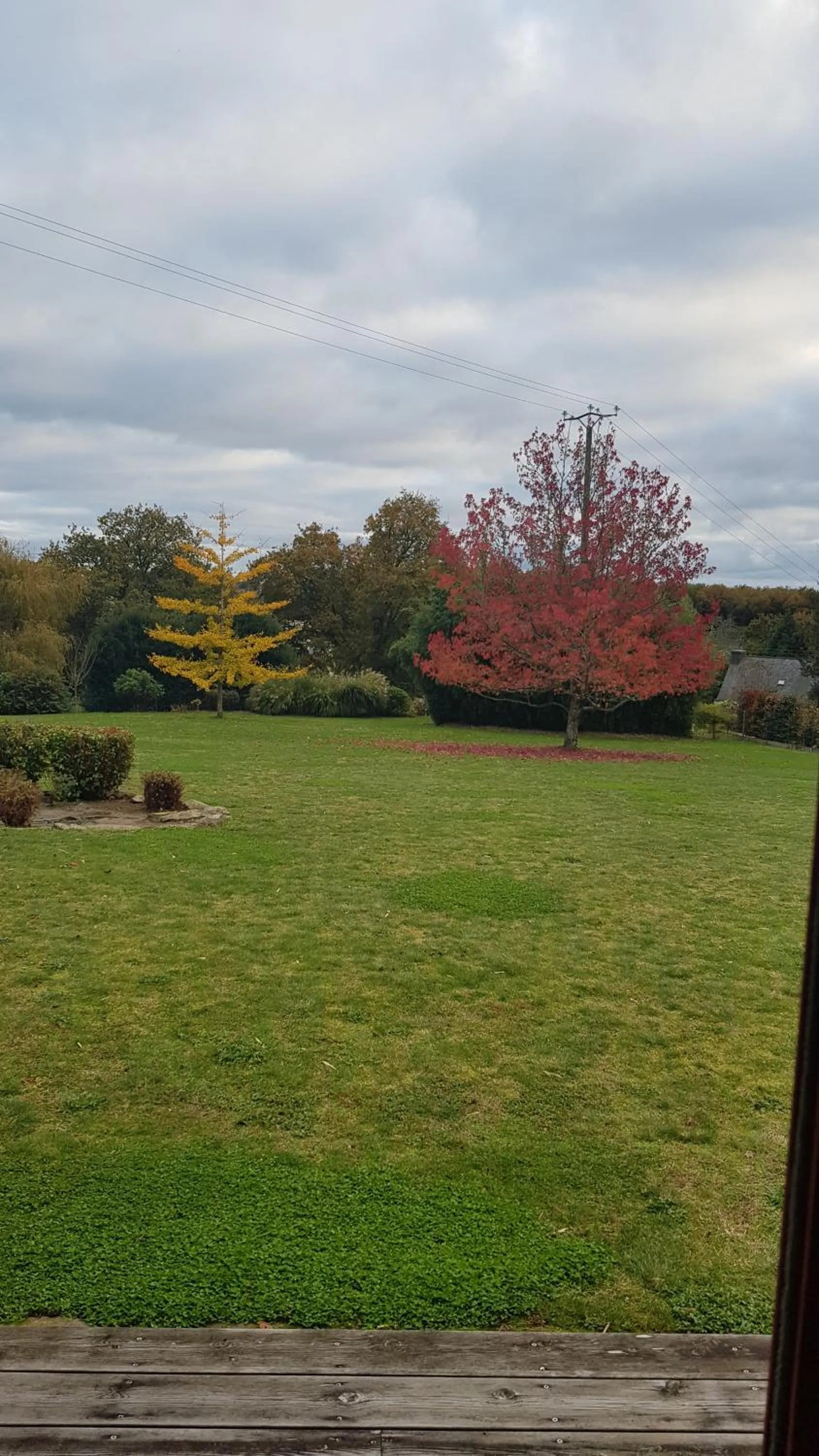 Garden in Les Korrigans