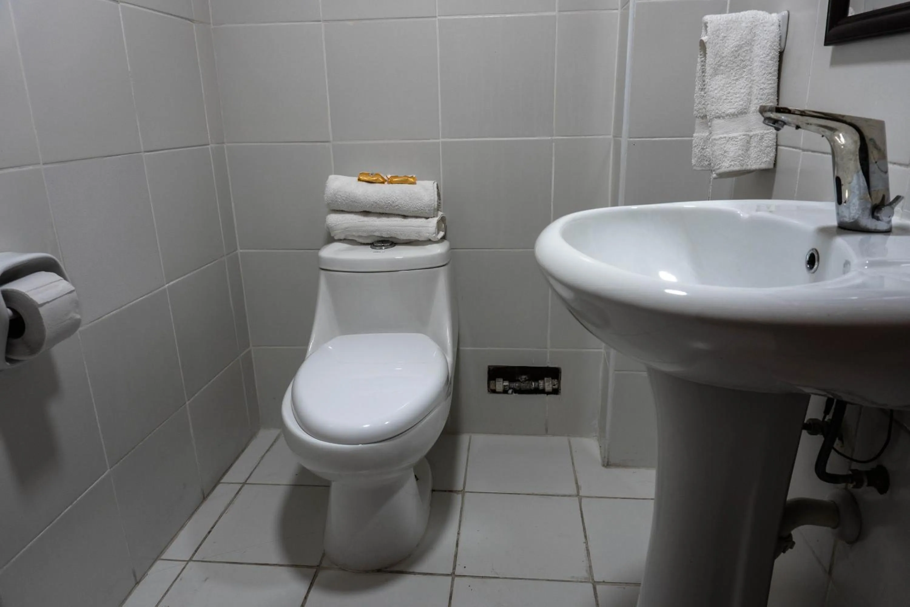 Toilet in Green House