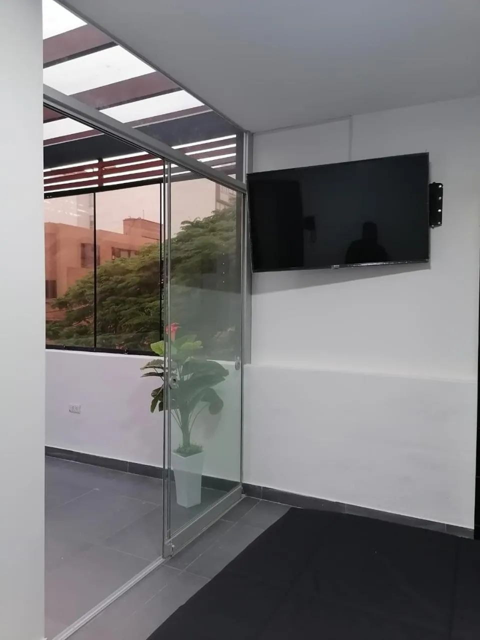 TV and multimedia in Green House