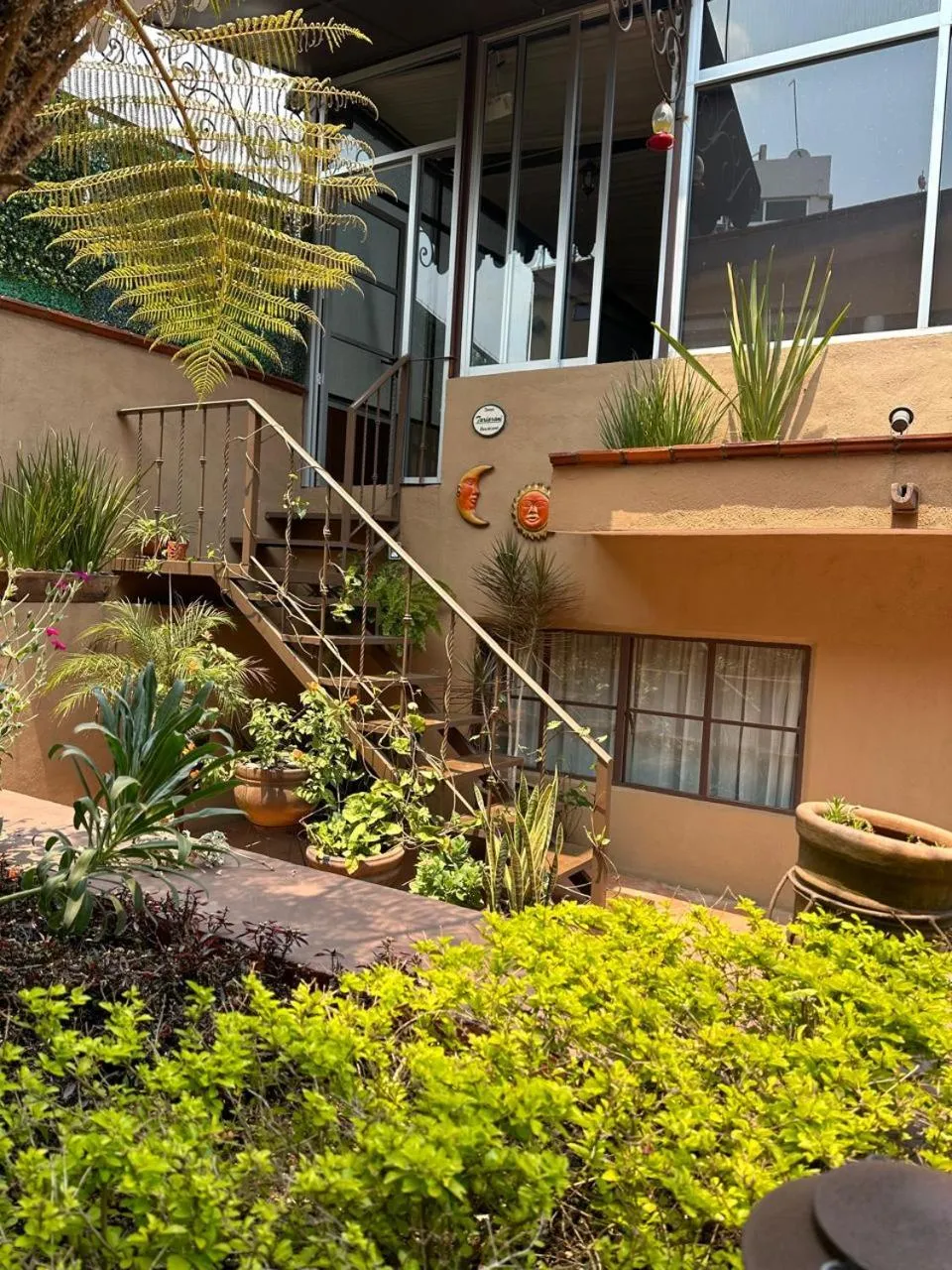 Garden in Casa de las Escaleras