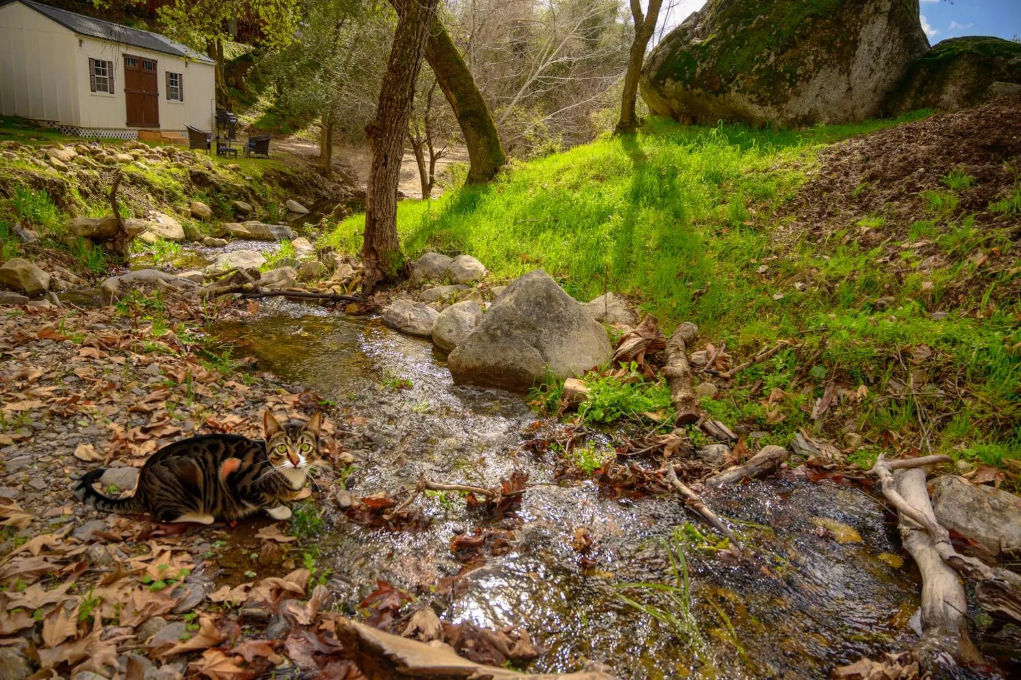 River view in Genas's Sierra Inn & Restaurant