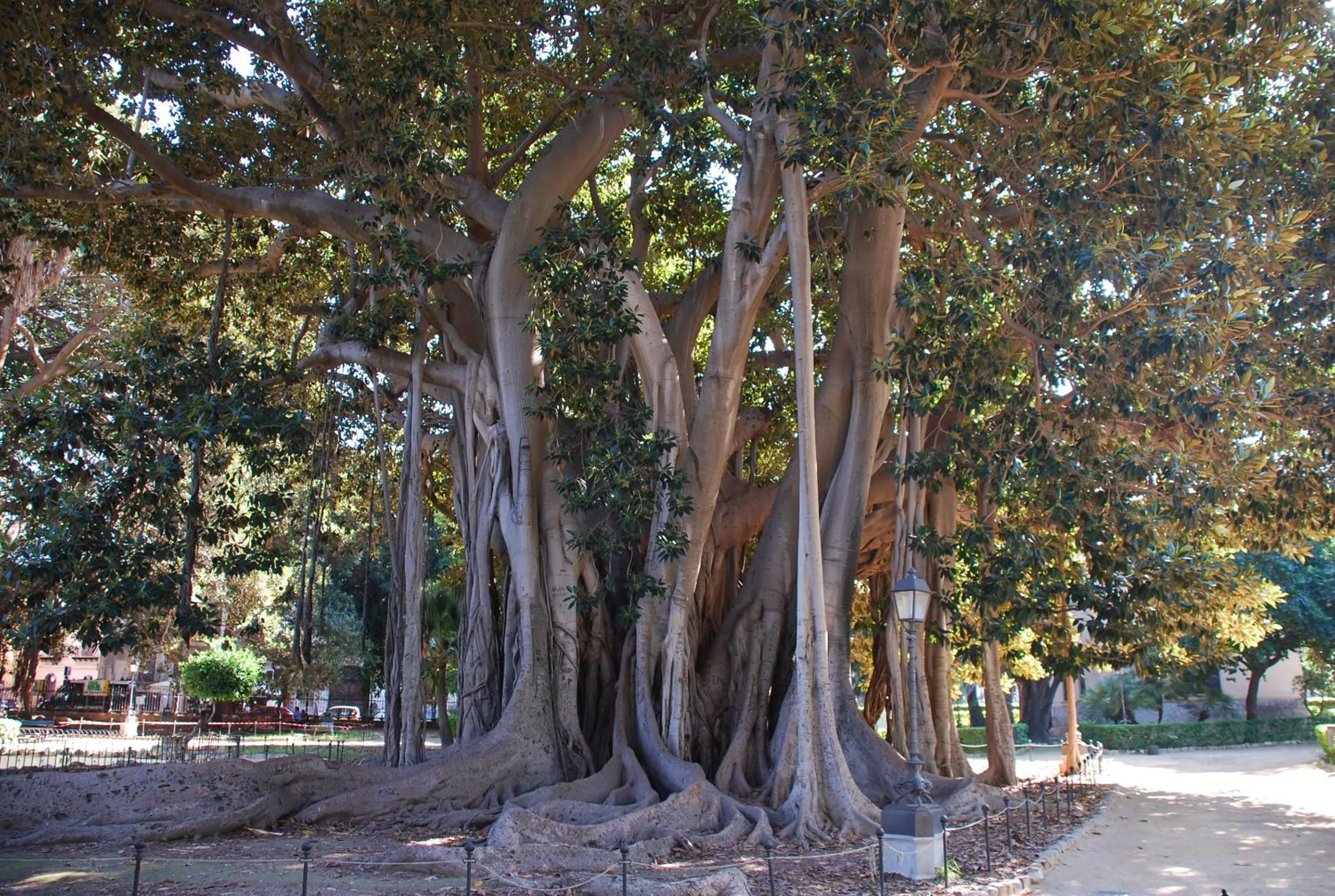 Nearby landmark in Boutique B&B Vintage