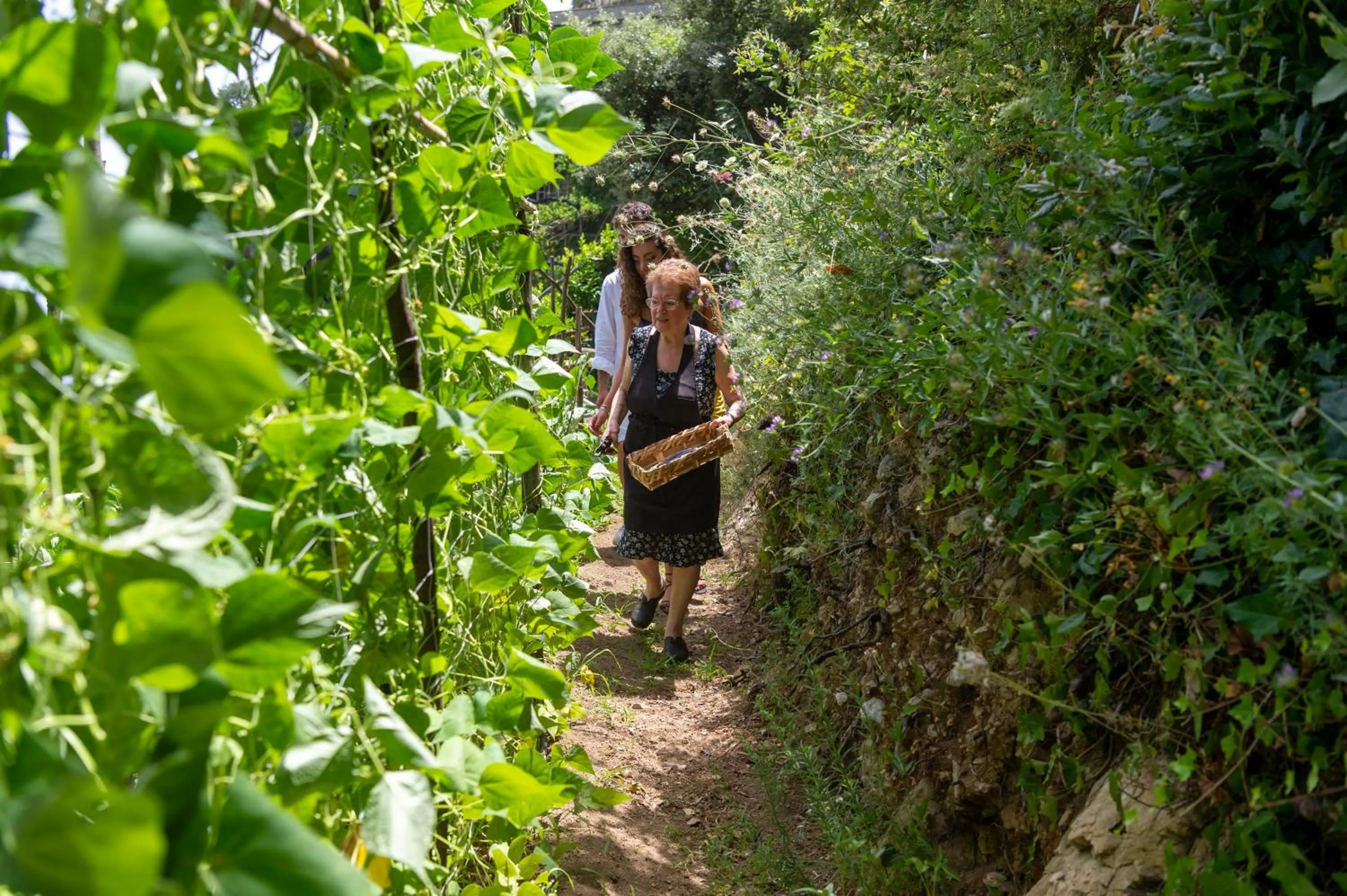 Garden in Hotel La Pergola