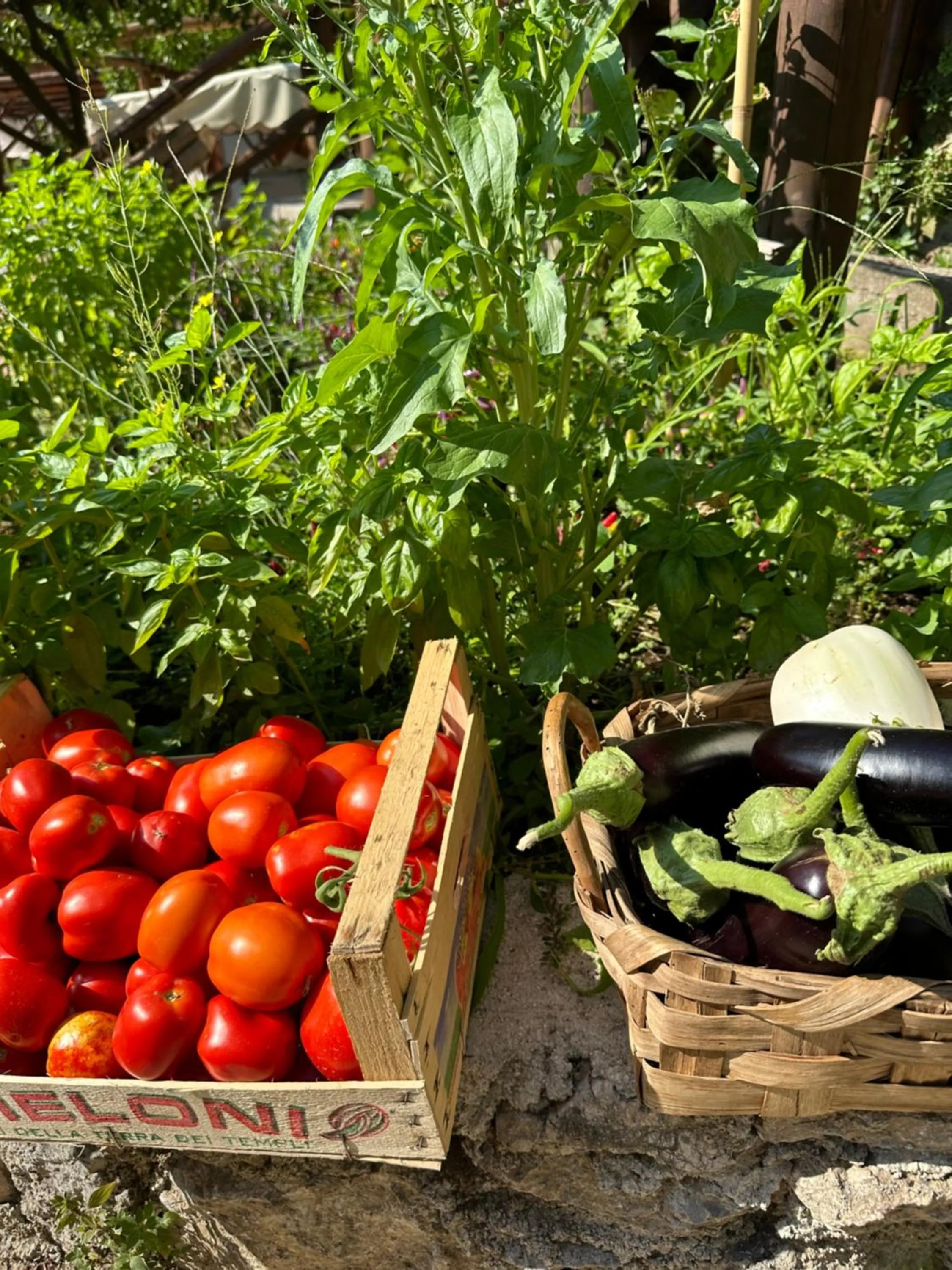 Garden in Hotel La Pergola