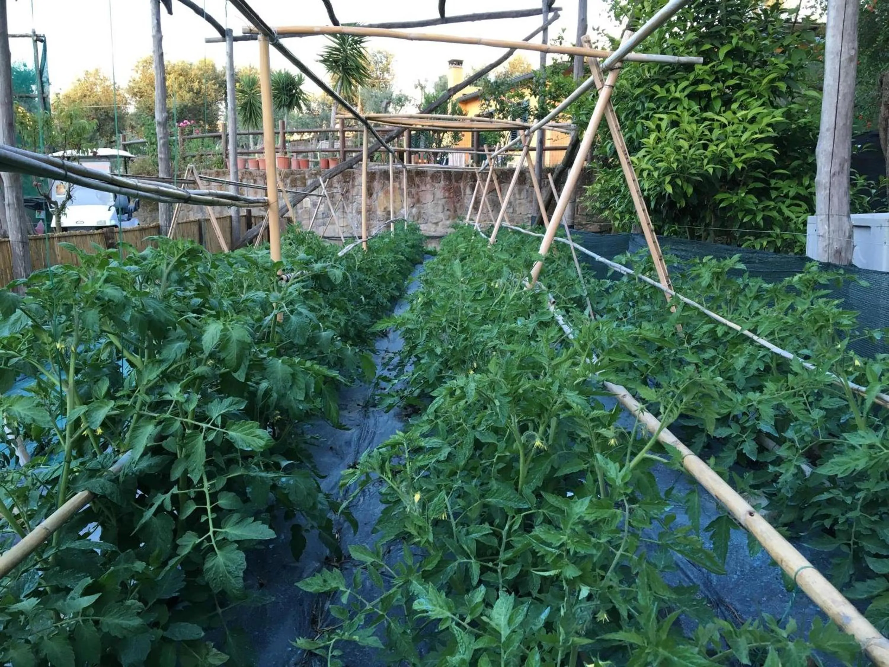 Garden in Casale Antonietta