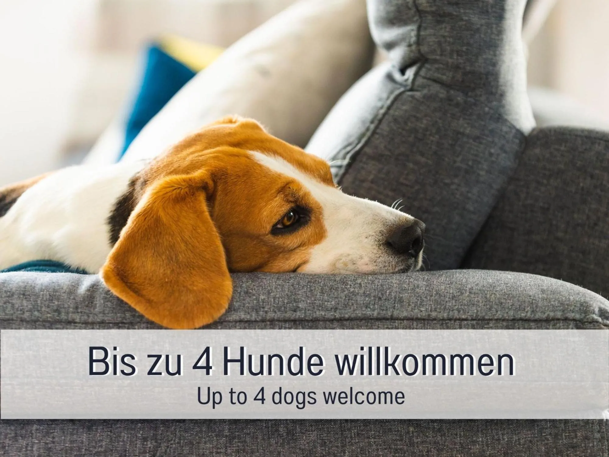Pets in Dieboldsberg: Sauna | Whirlpool | Kamin | Garten