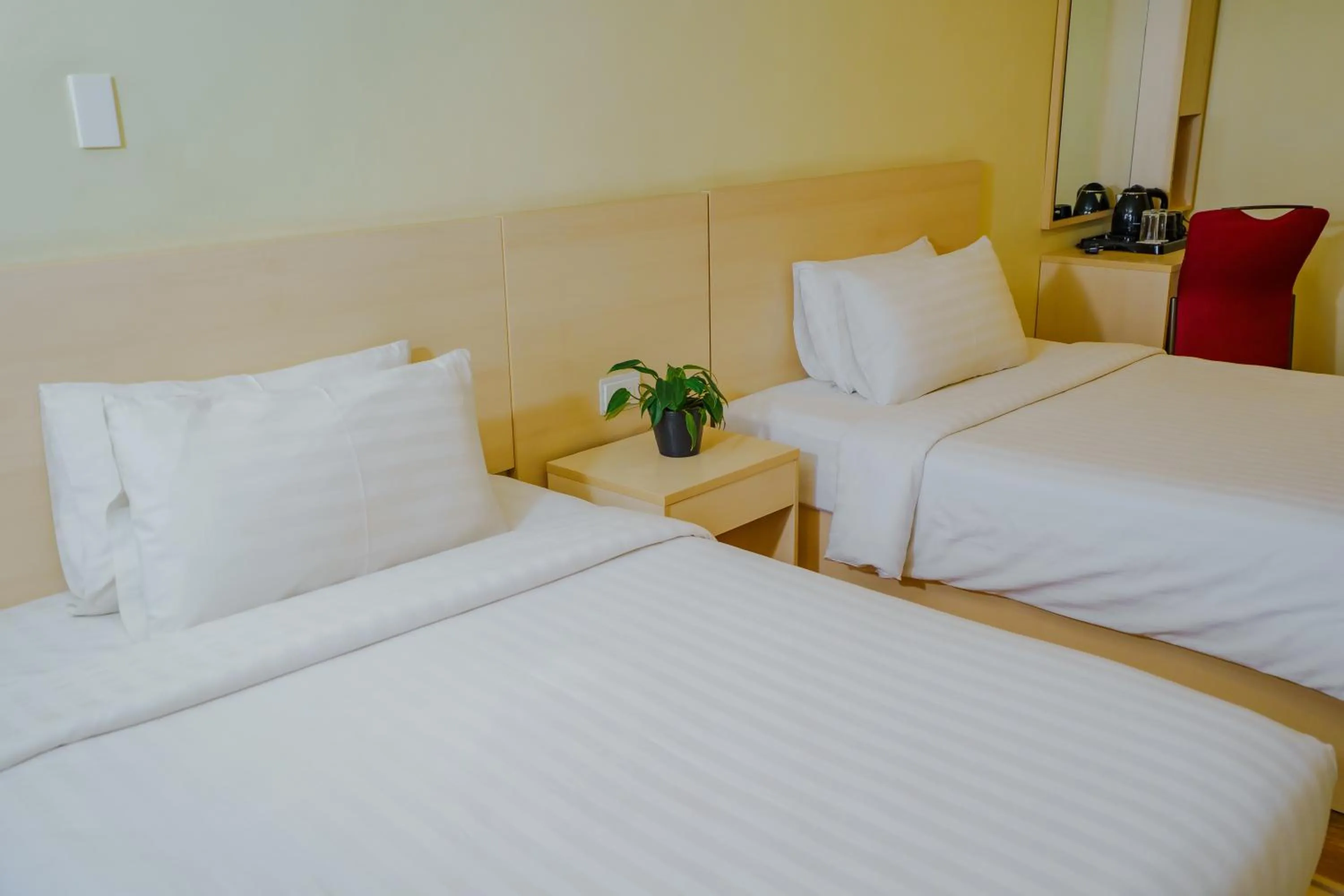 Bed in Olive Town Center and Hotel