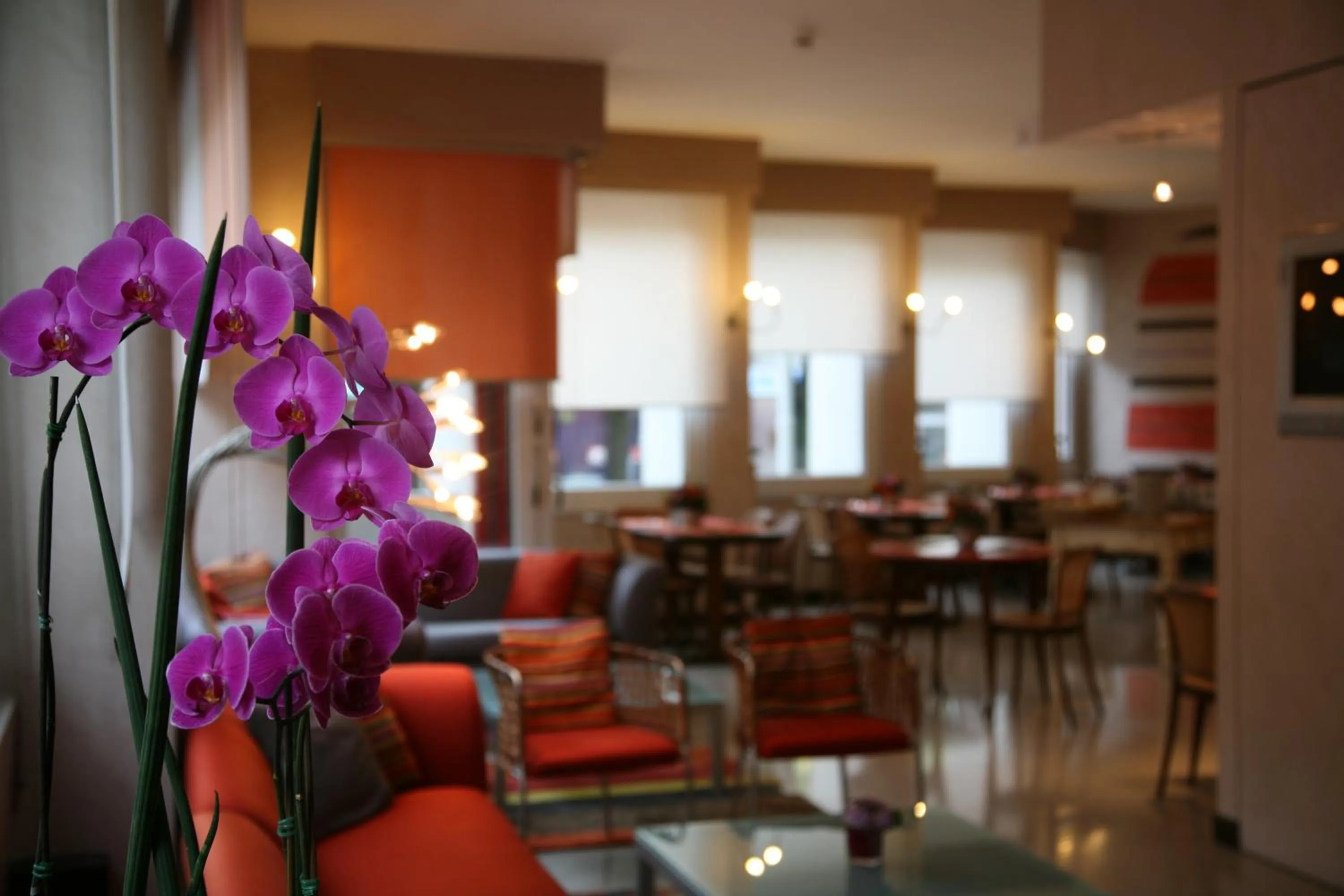 Restaurant/places to eat in Park Hotel Meublé