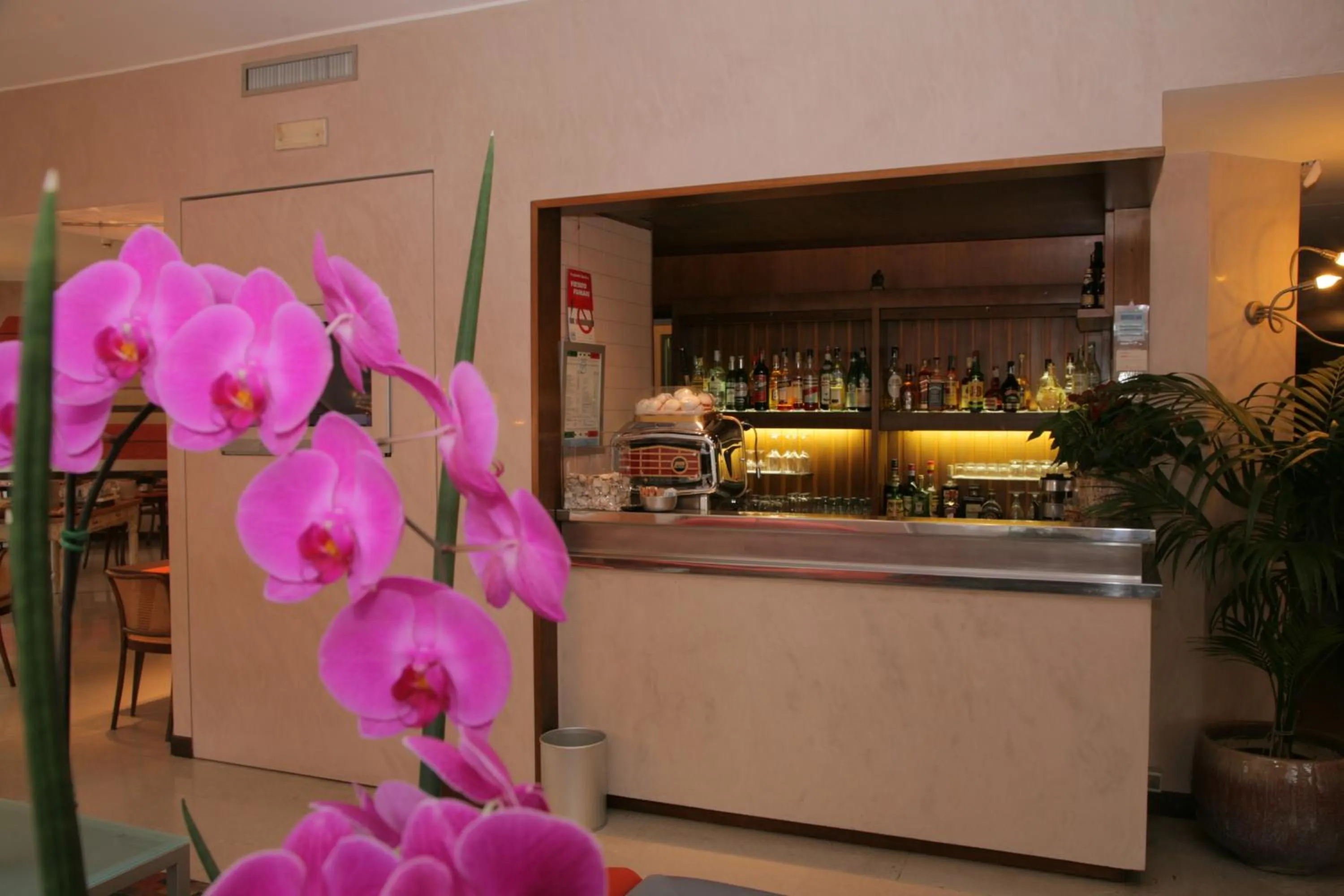 Lounge or bar in Park Hotel Meublé