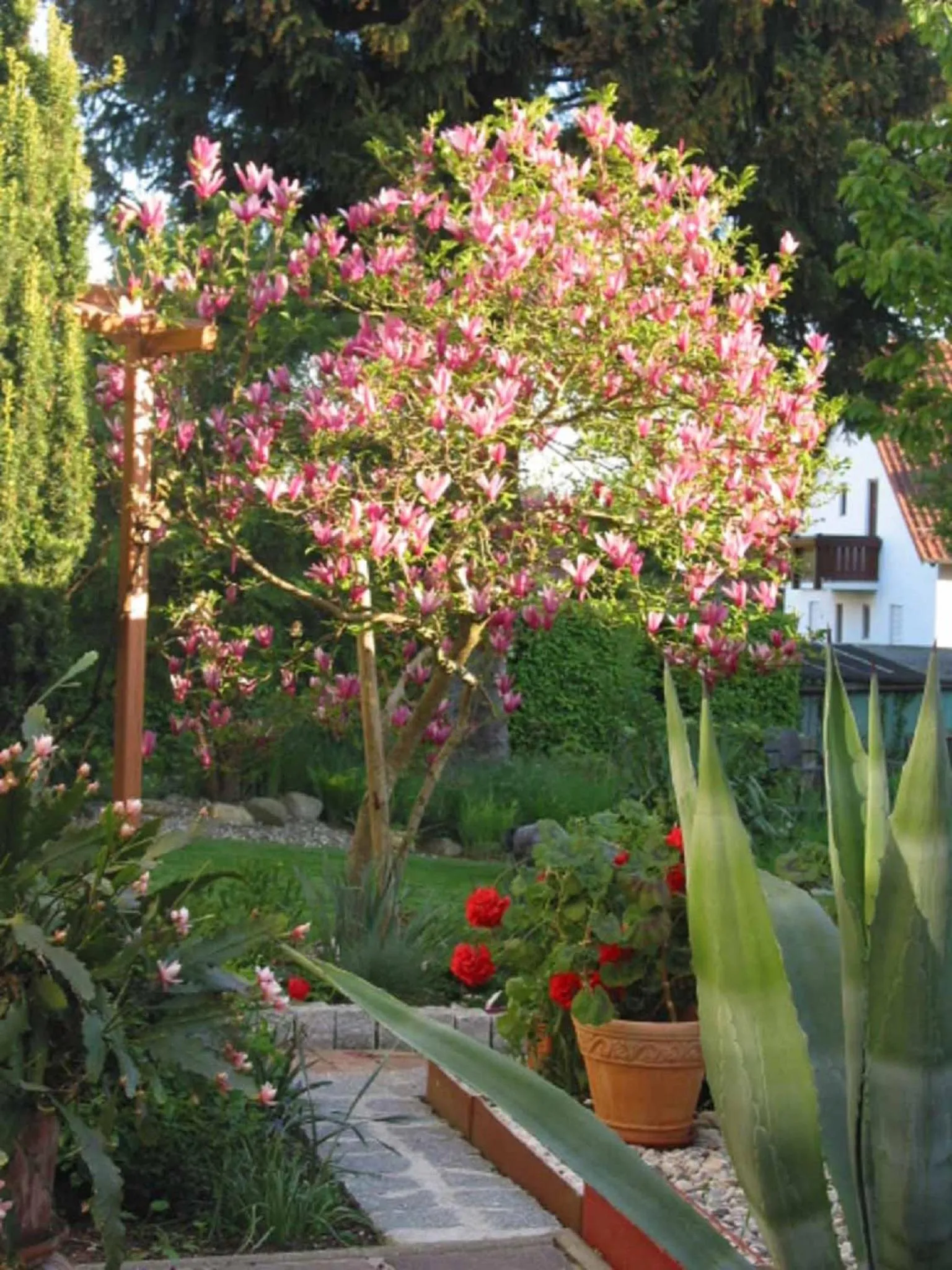 Garden in Appartements Gillmeier Herta