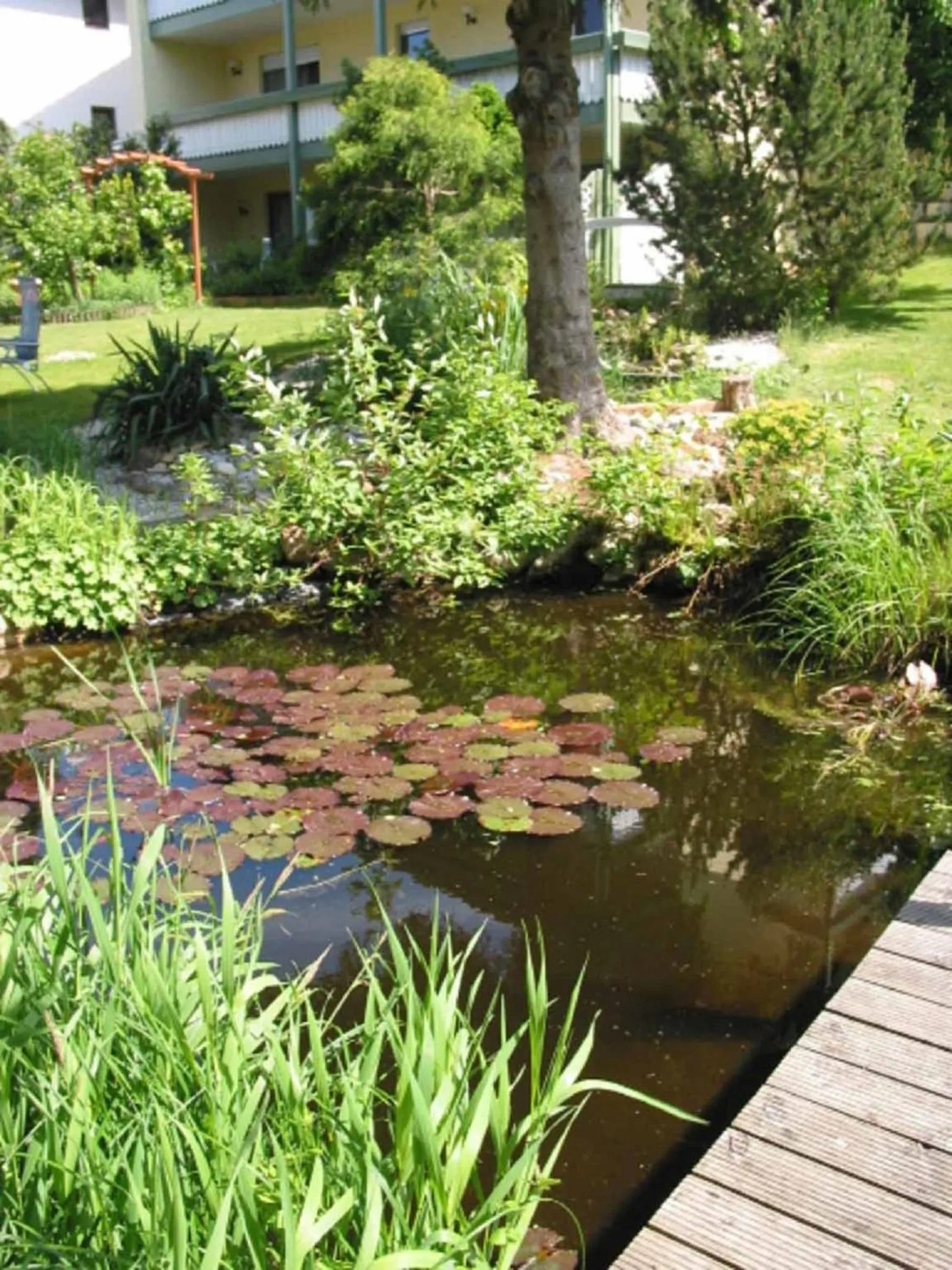 Garden in Appartements Gillmeier Herta