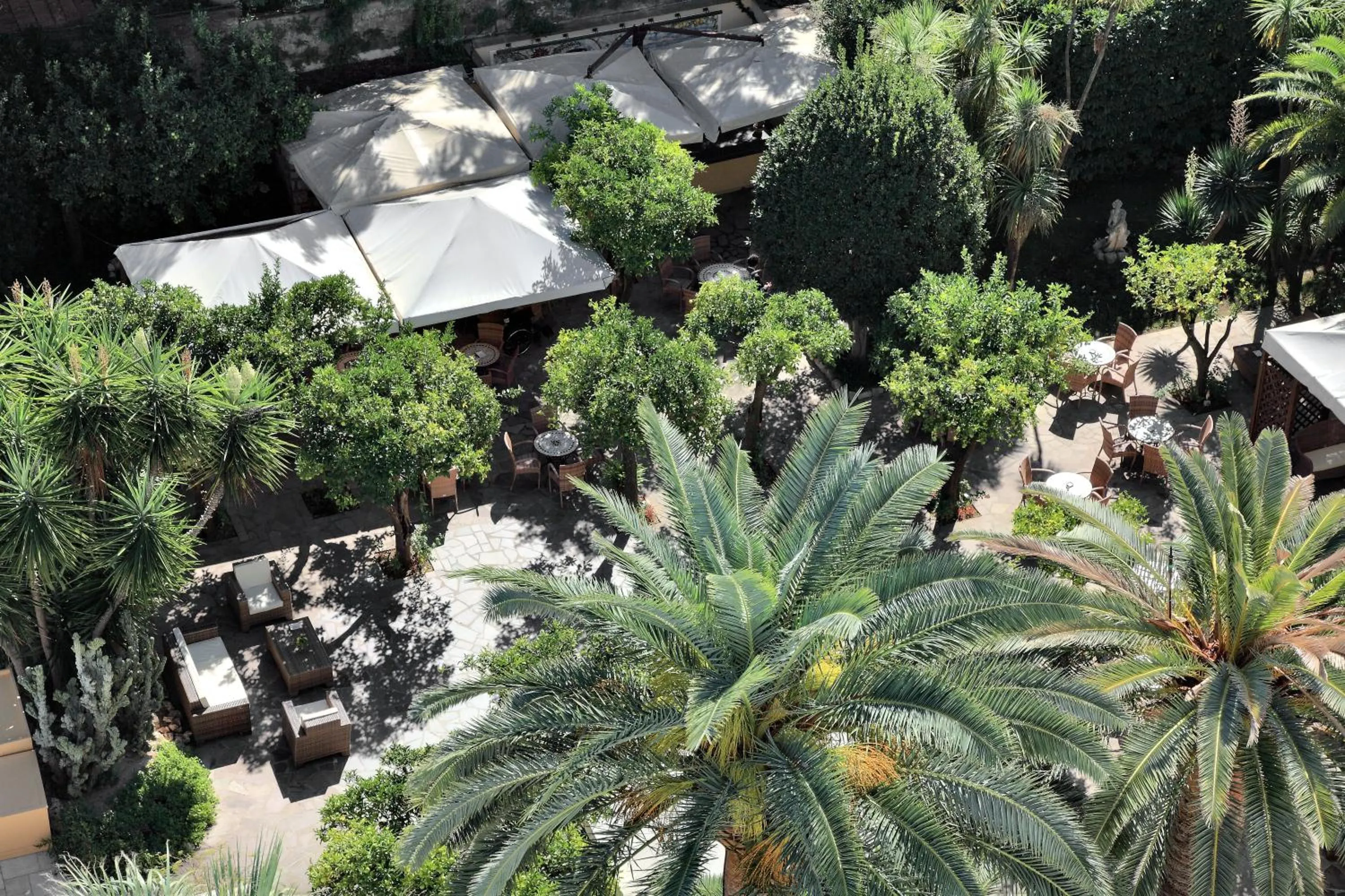 Garden view in Hotel Mediterraneo