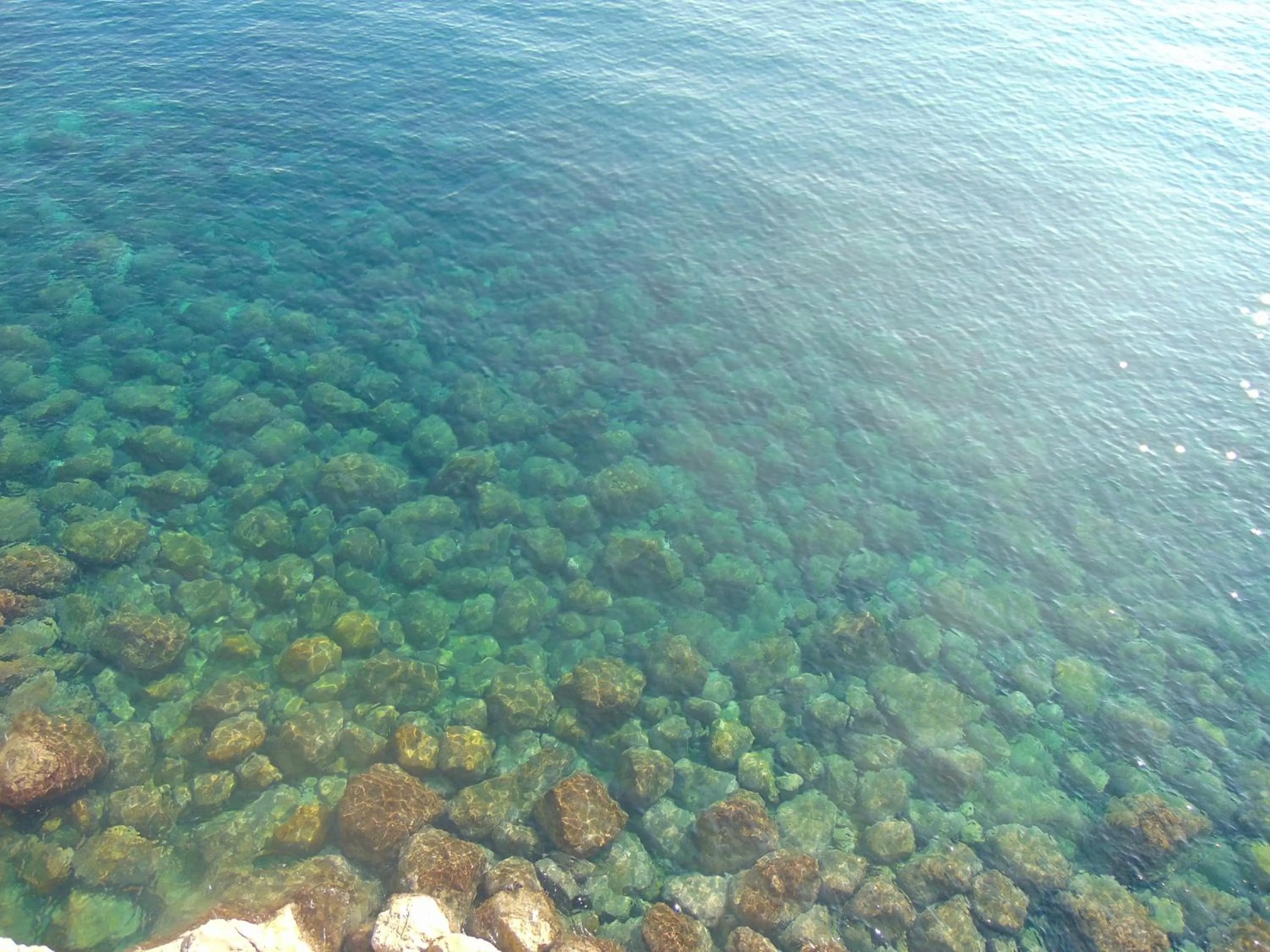 Beach in Hotel Villa Bellavista