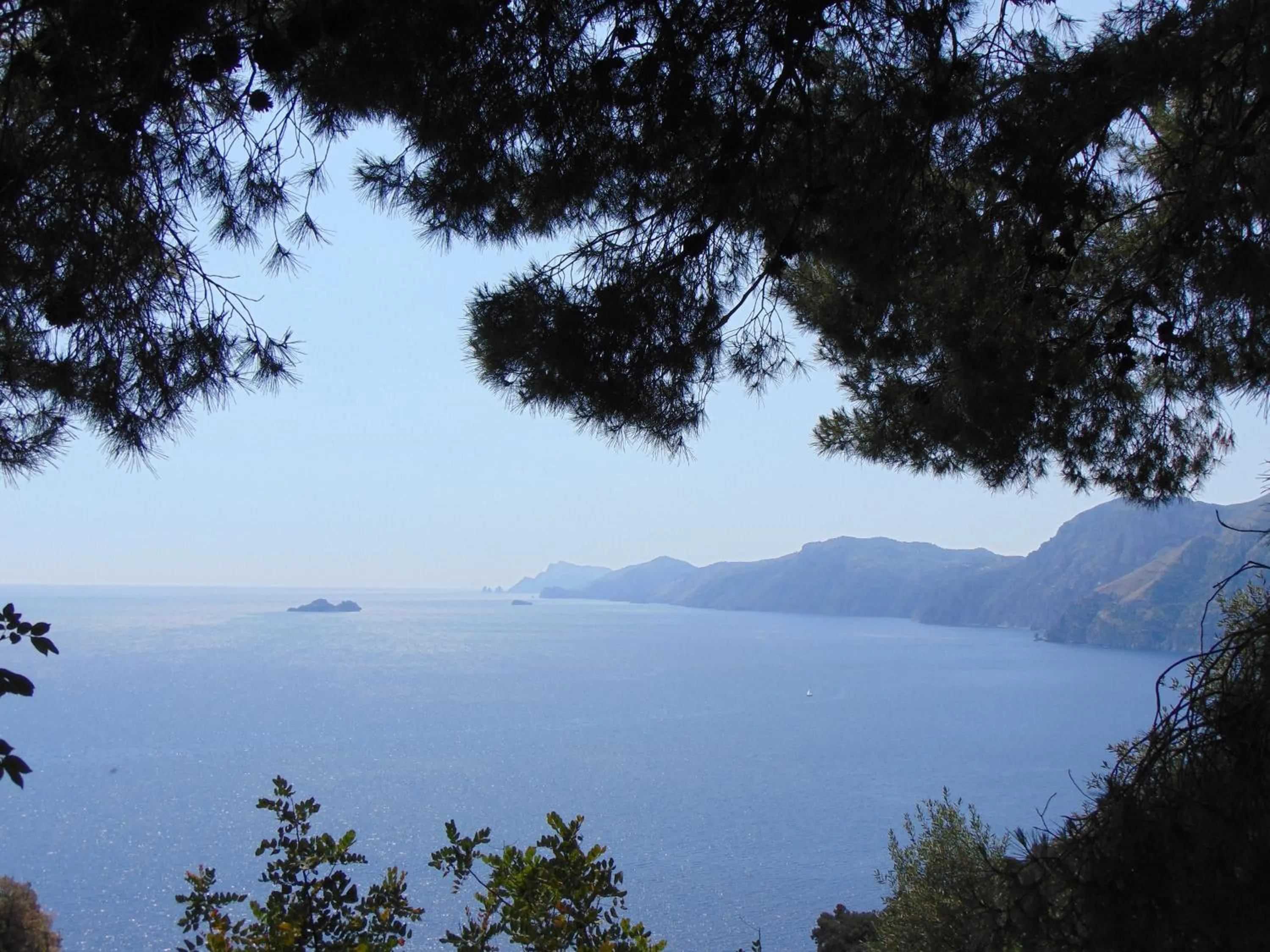 Natural landscape in Hotel Villa Bellavista