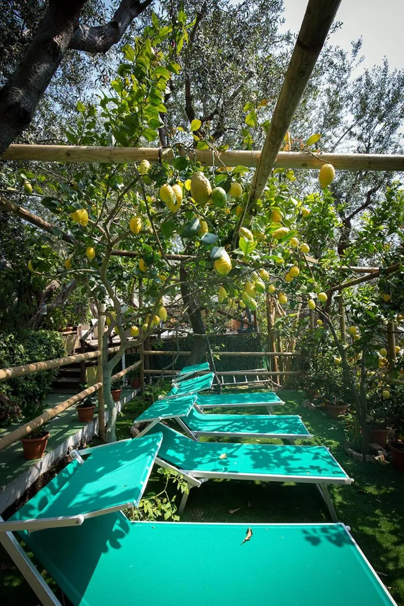 Garden in Hotel Villa Bellavista