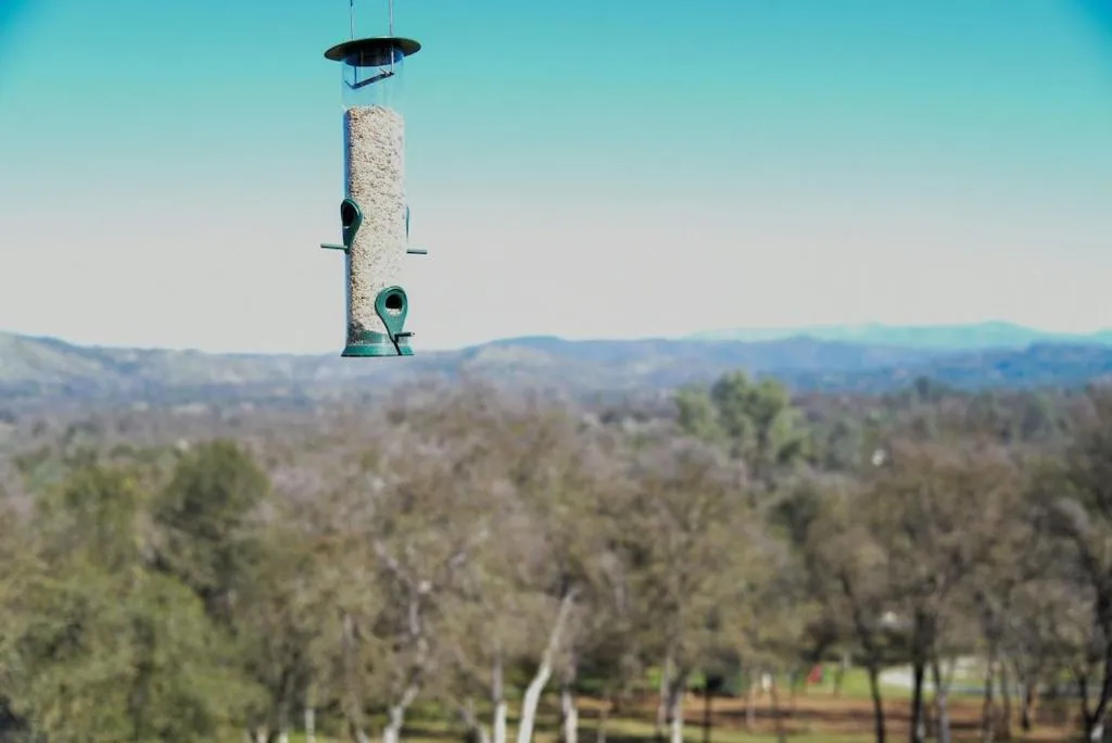 View (from property/room) in Sierra Ranch - A Yosemite Retreat