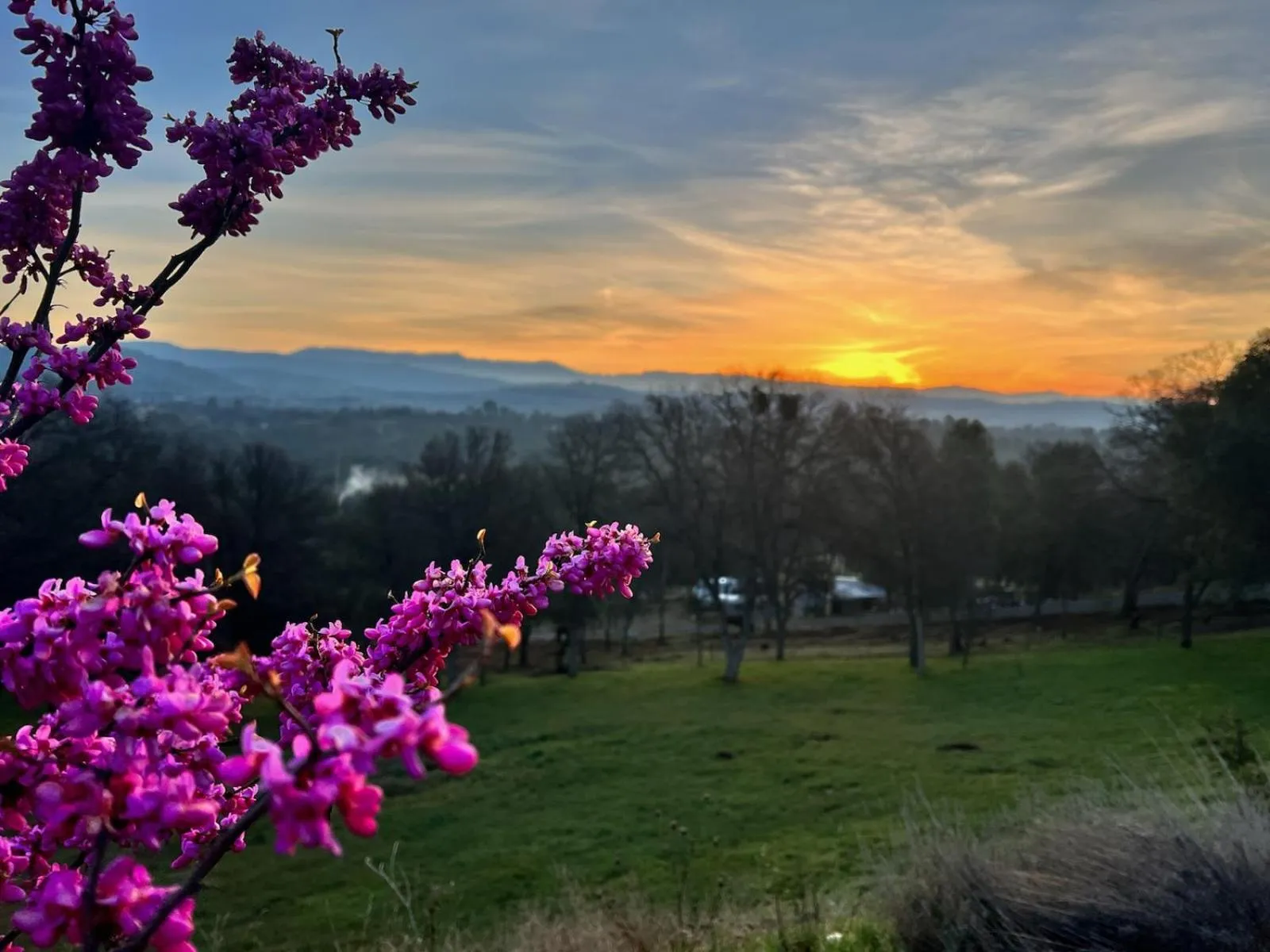Day in Sierra Ranch - A Yosemite Retreat