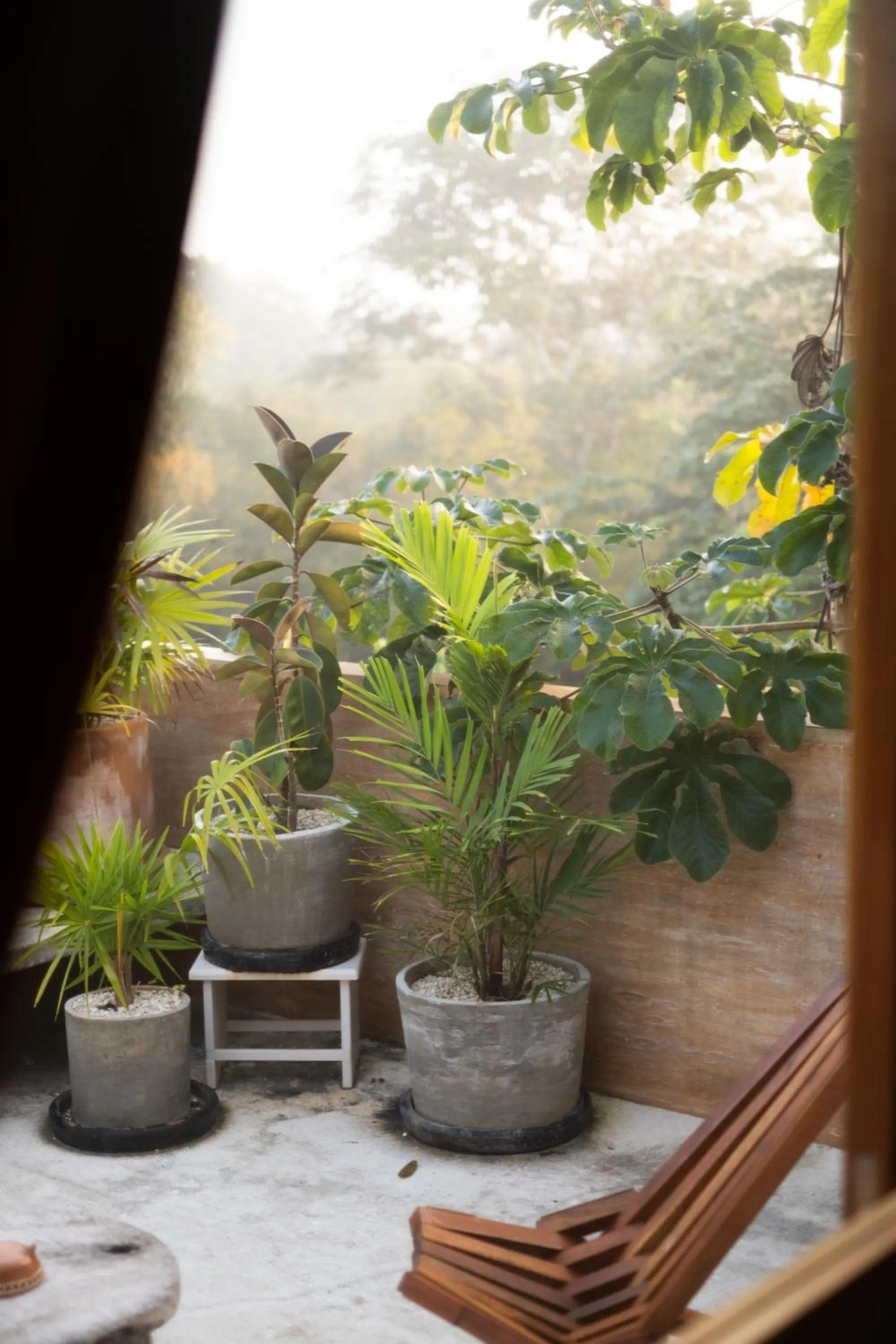 Balcony/Terrace in Galopina