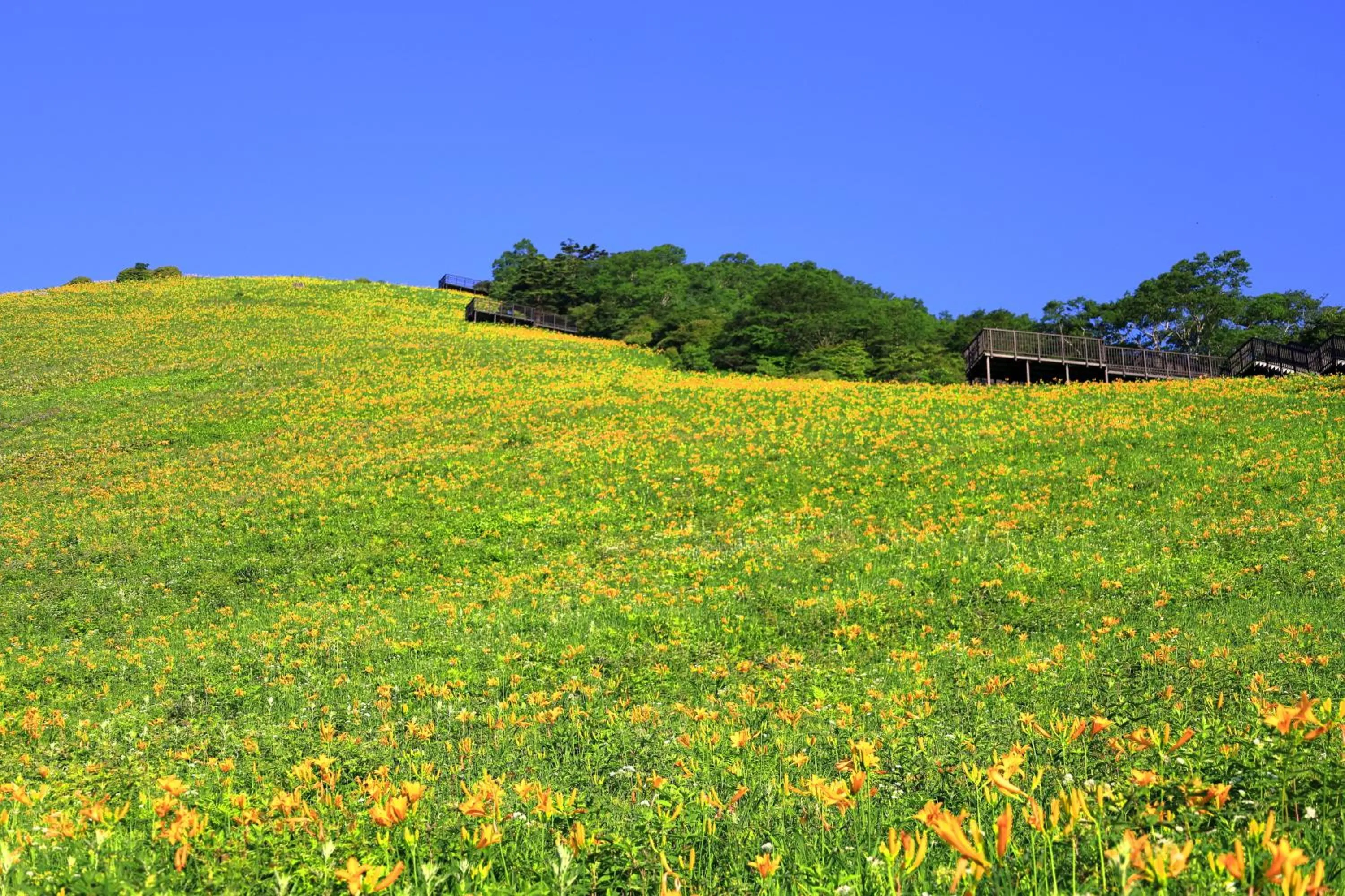 Nearby landmark in KAMENOI HOTEL Okunikko