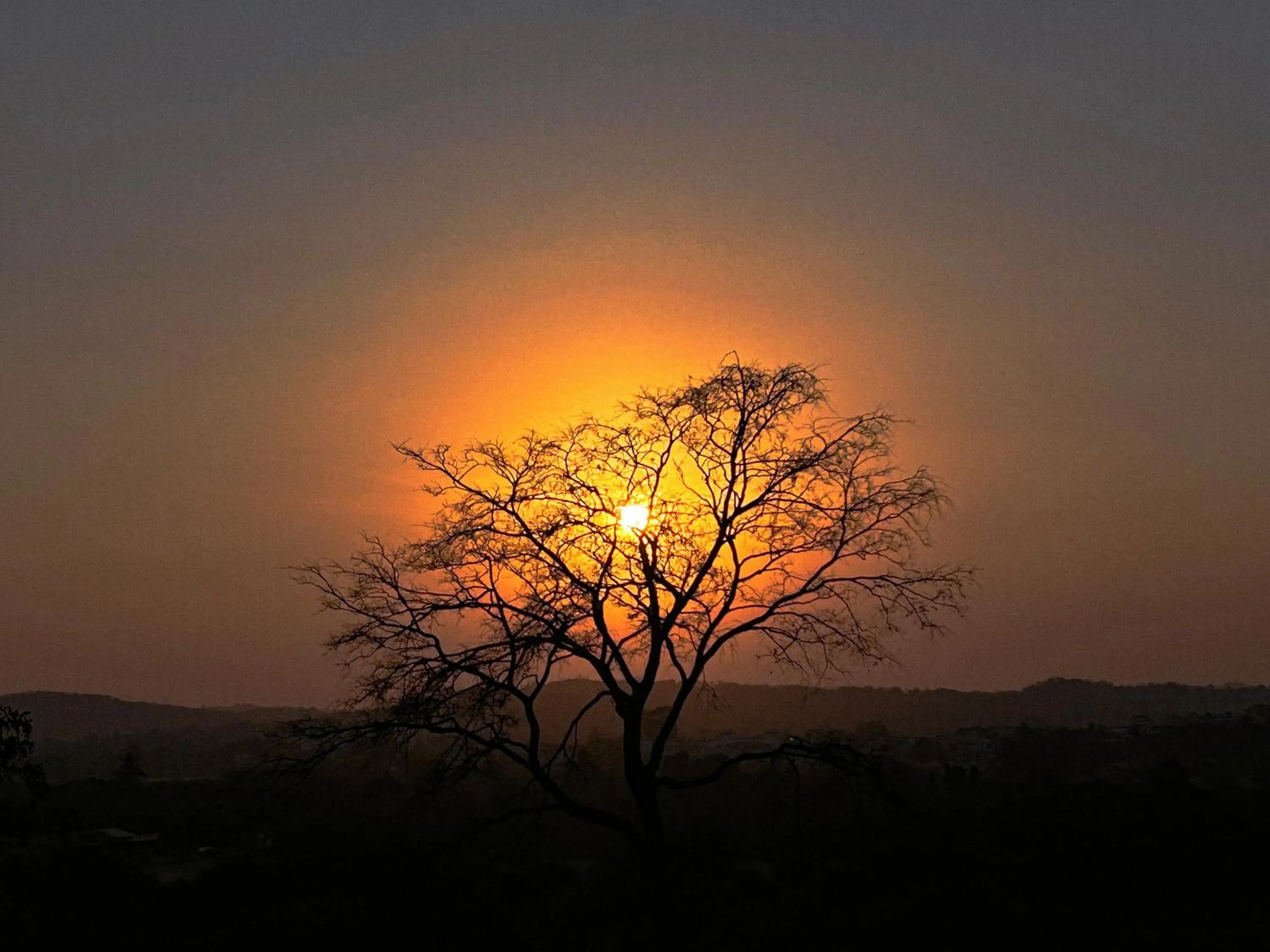 Neighbourhood in Gir Birding Lodge