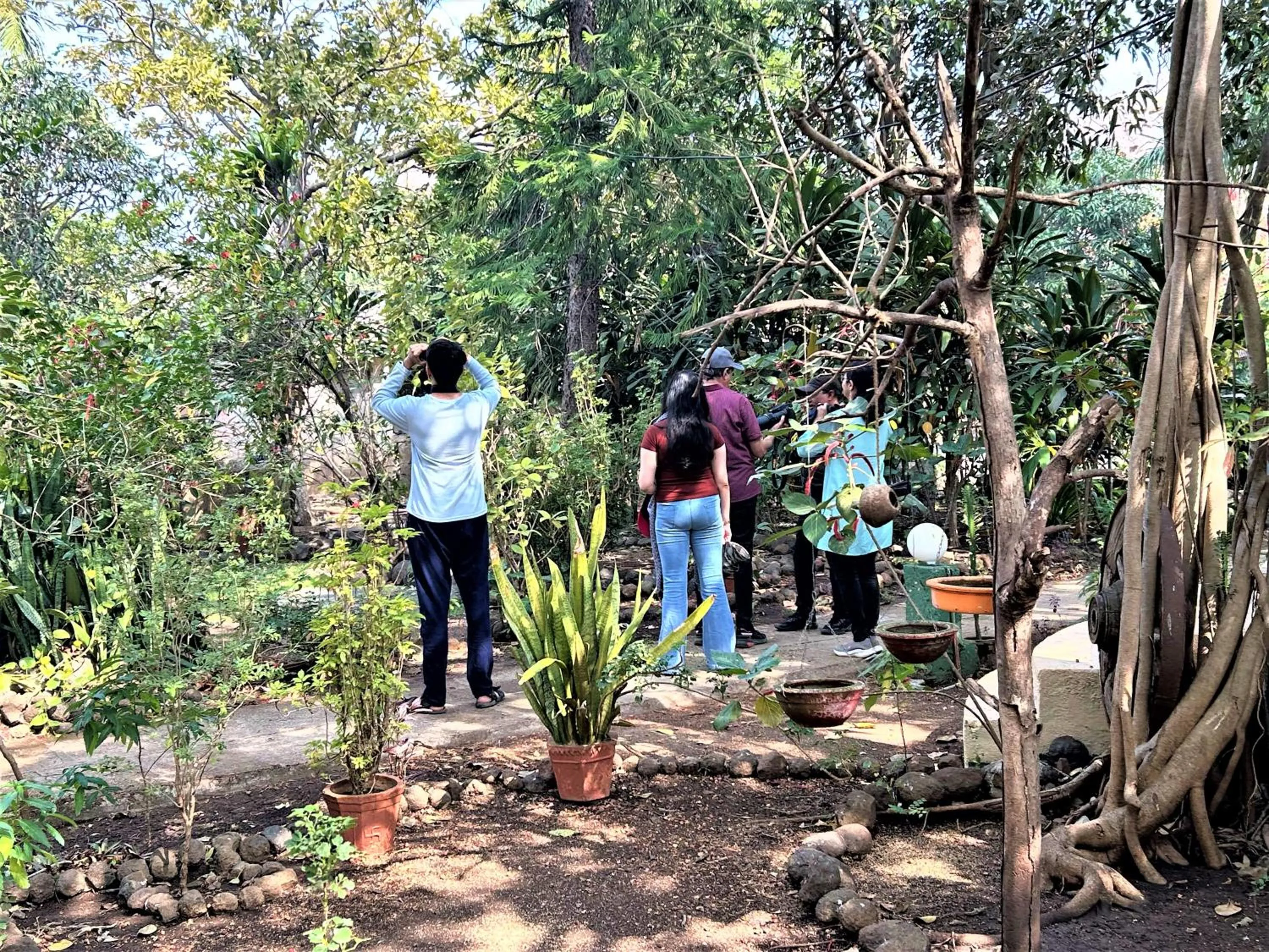 Activities in Gir Birding Lodge