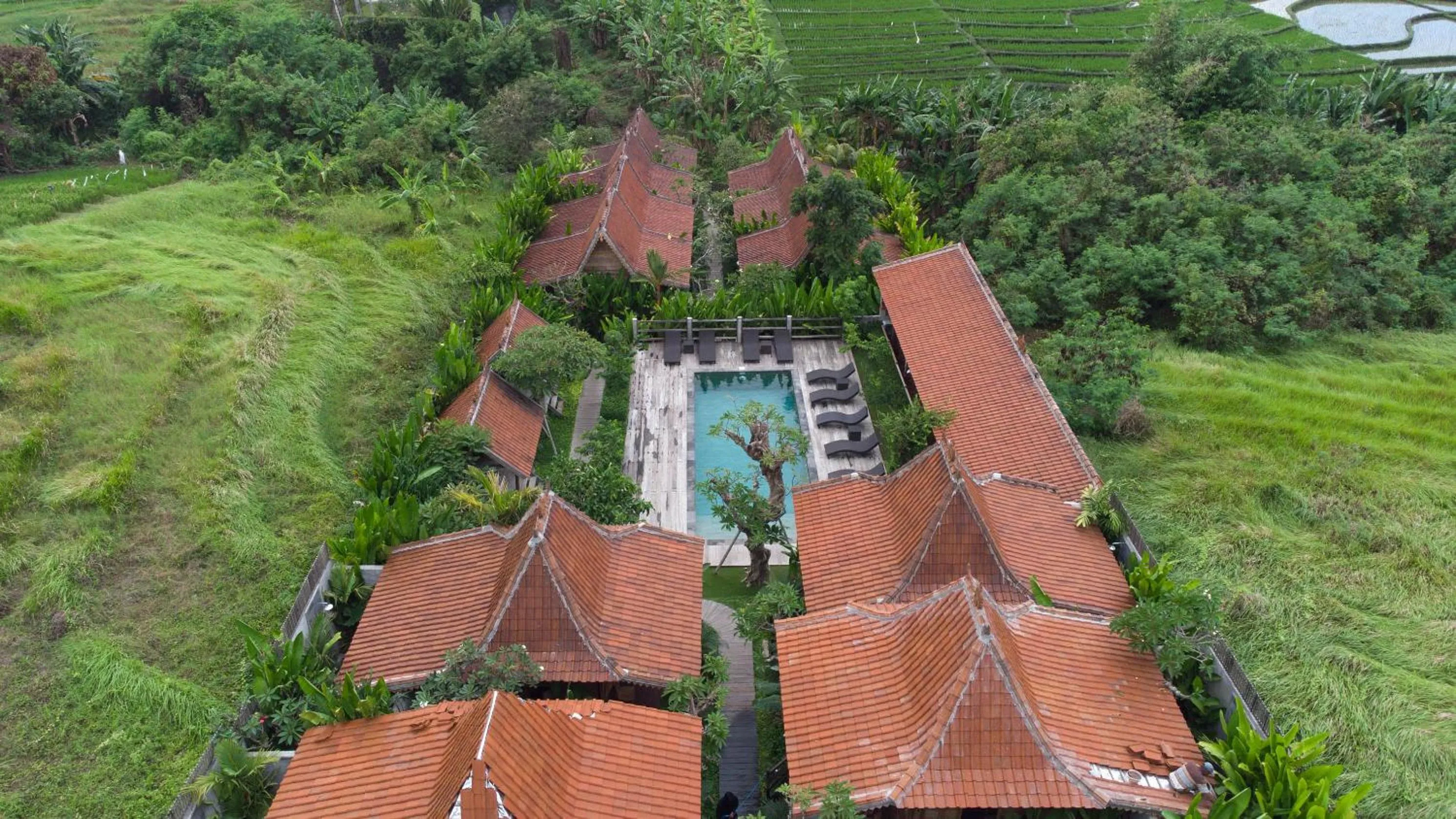 Bird's eye view in Bajalo Cottage Canggu - Adults only
