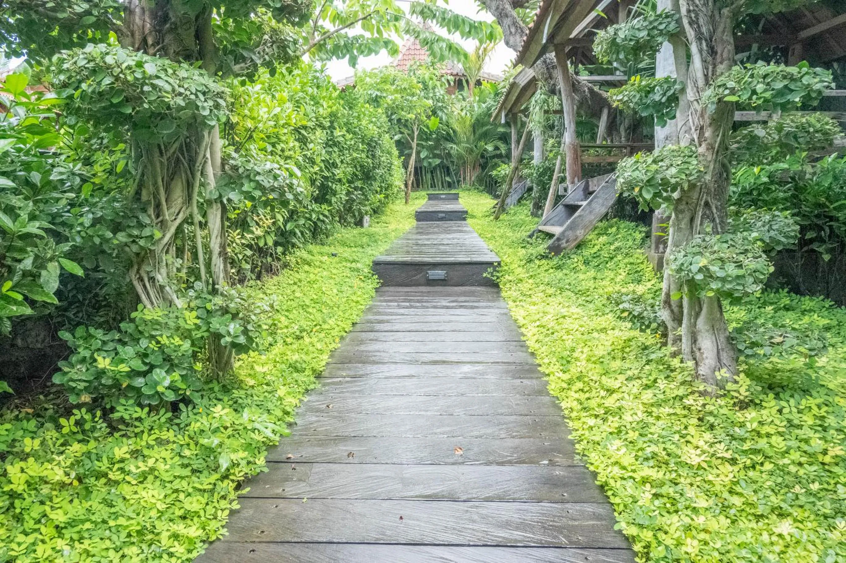 Natural landscape in Bajalo Cottage Canggu - Adults only