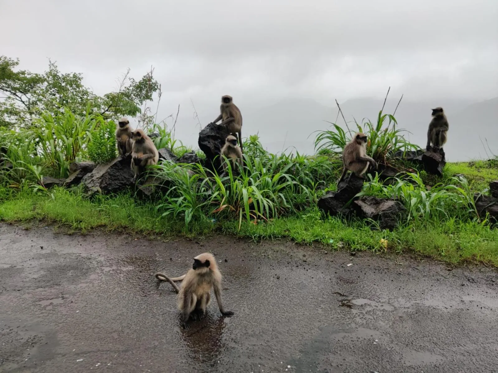 Hilltop Resort and Glamping Wai, Near Panchgani