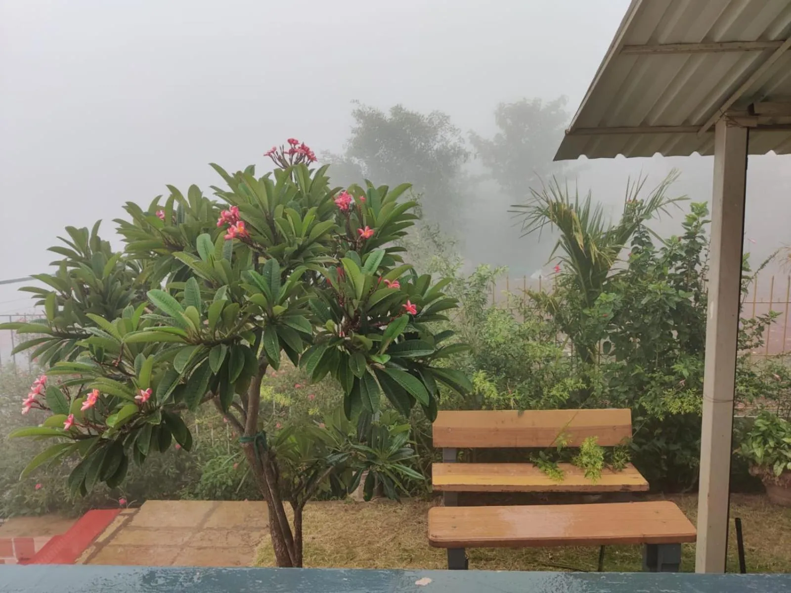 Garden view in Hilltop Resort and Glamping Wai, Near Panchgani