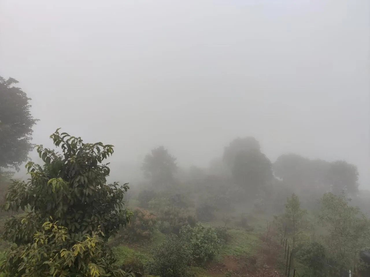 Garden view in Hilltop Resort and Glamping Wai, Near Panchgani