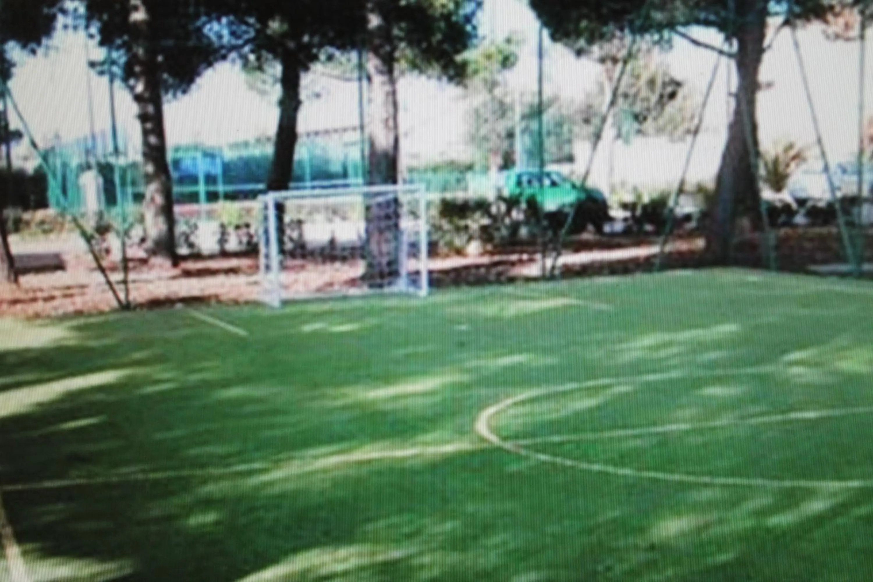 Garden in Hotel Minerva