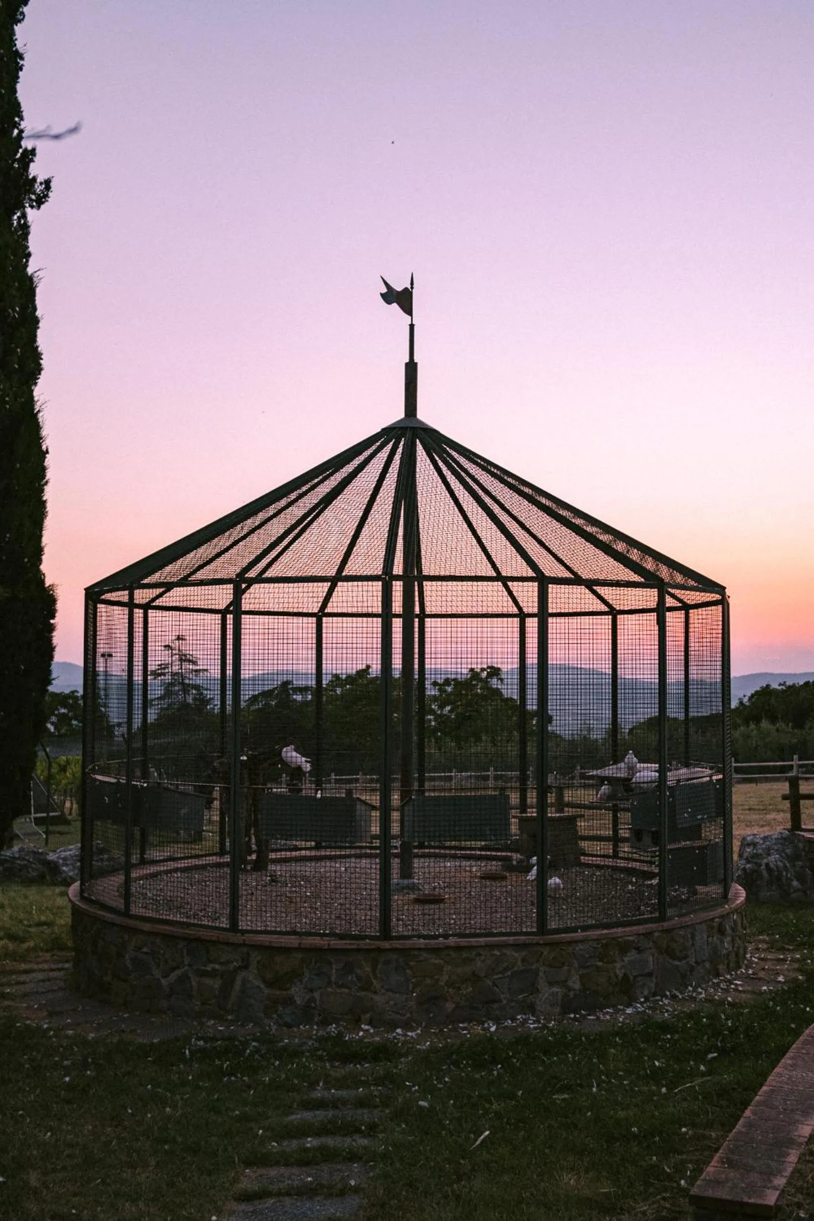 Property building in Fattoria Degli Usignoli