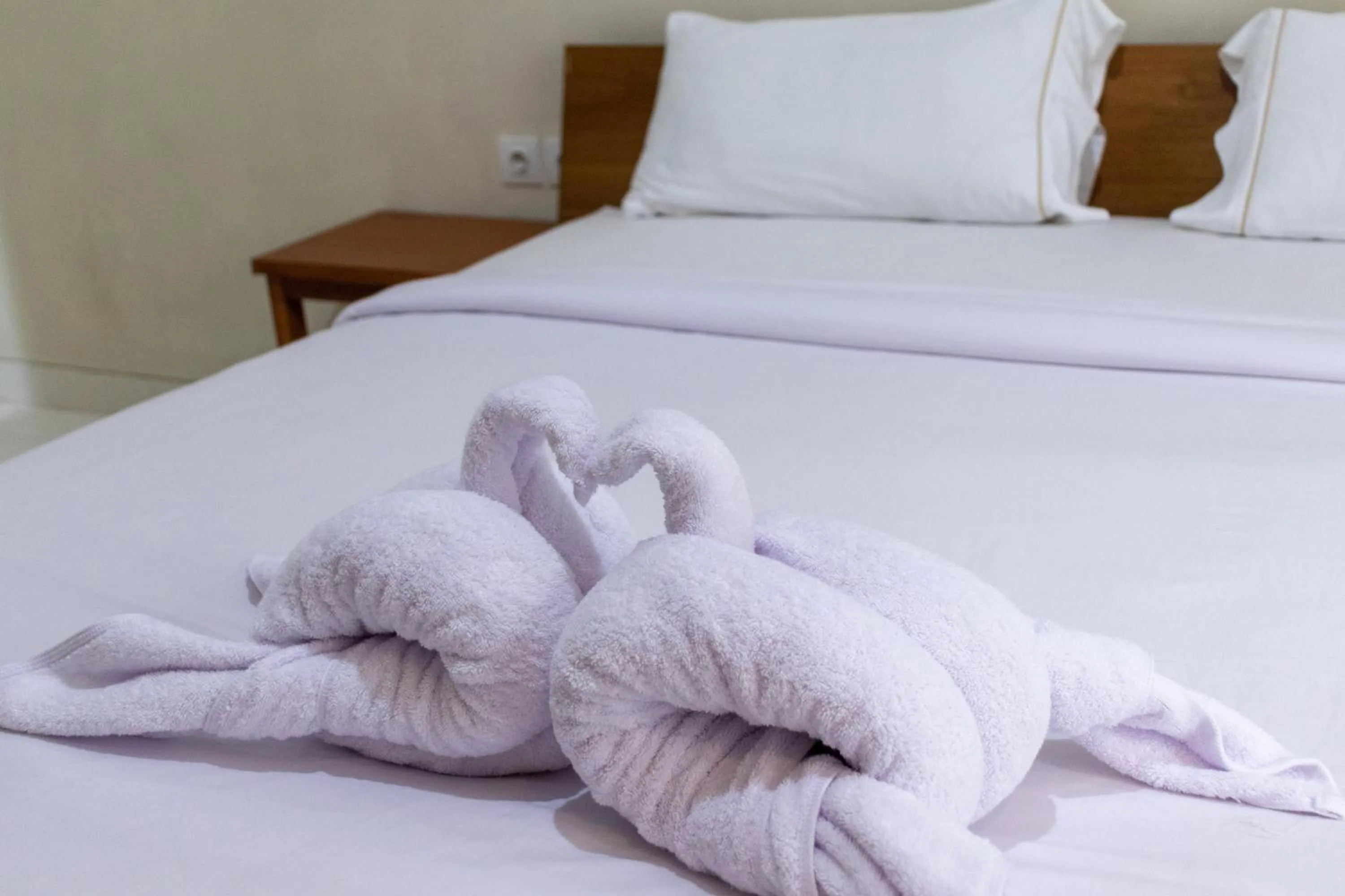 Bed in Josh Guest House