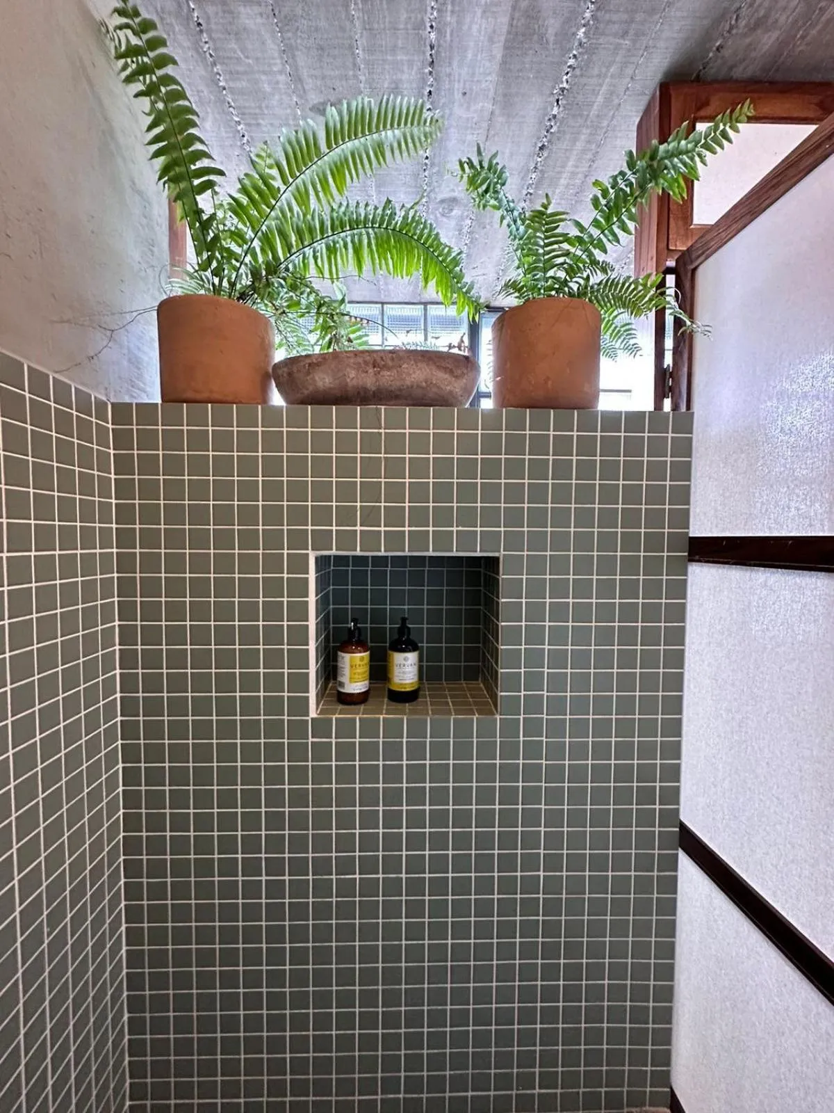 People in AORA San Pancho