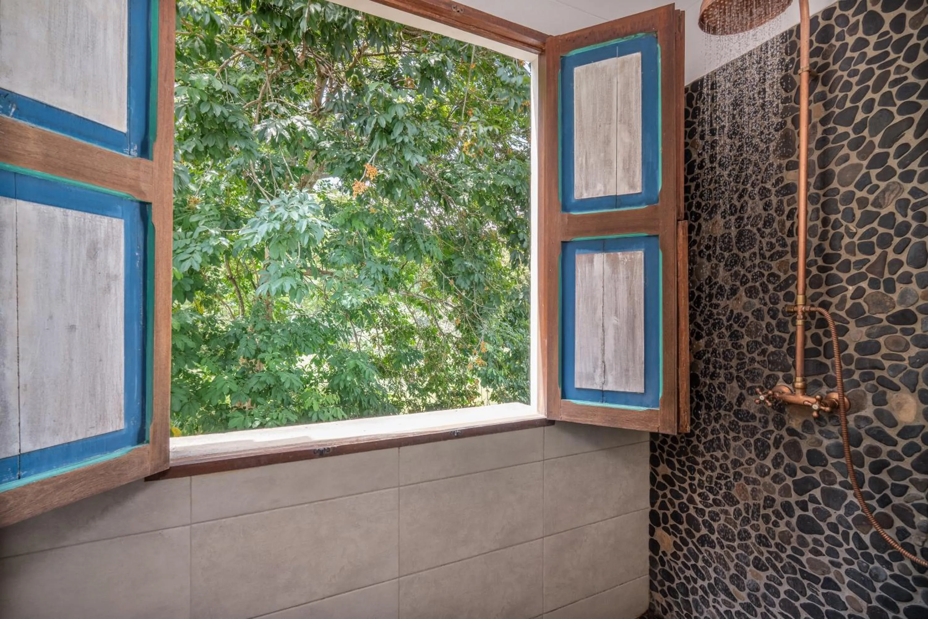 Garden view in Casa Jacaranda Hotel Boutique -Cauca Viejo- Mayores de 14 años