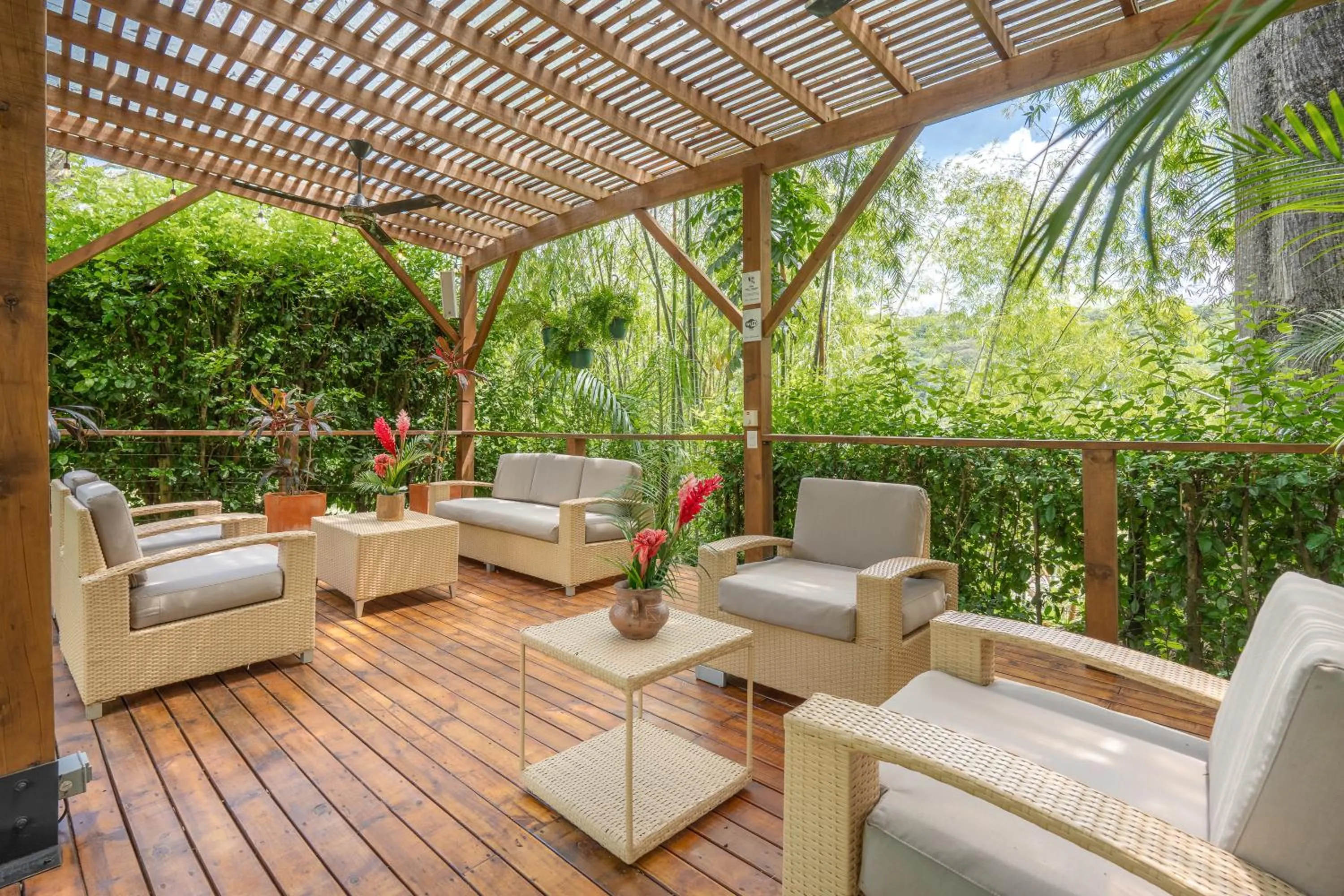 Patio in Casa Jacaranda Hotel Boutique -Cauca Viejo- Mayores de 14 años