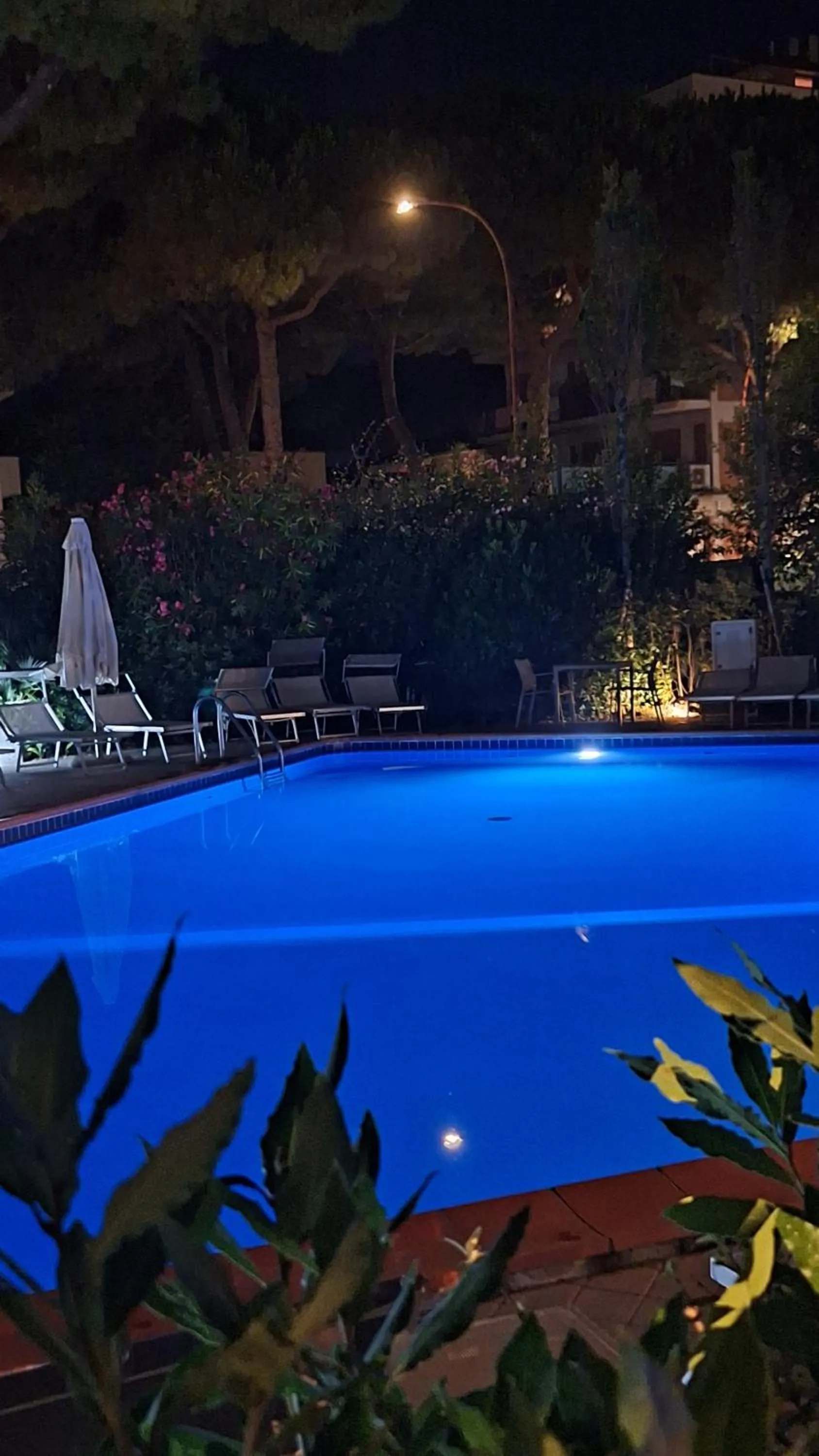 Swimming pool in Hotel Schiller