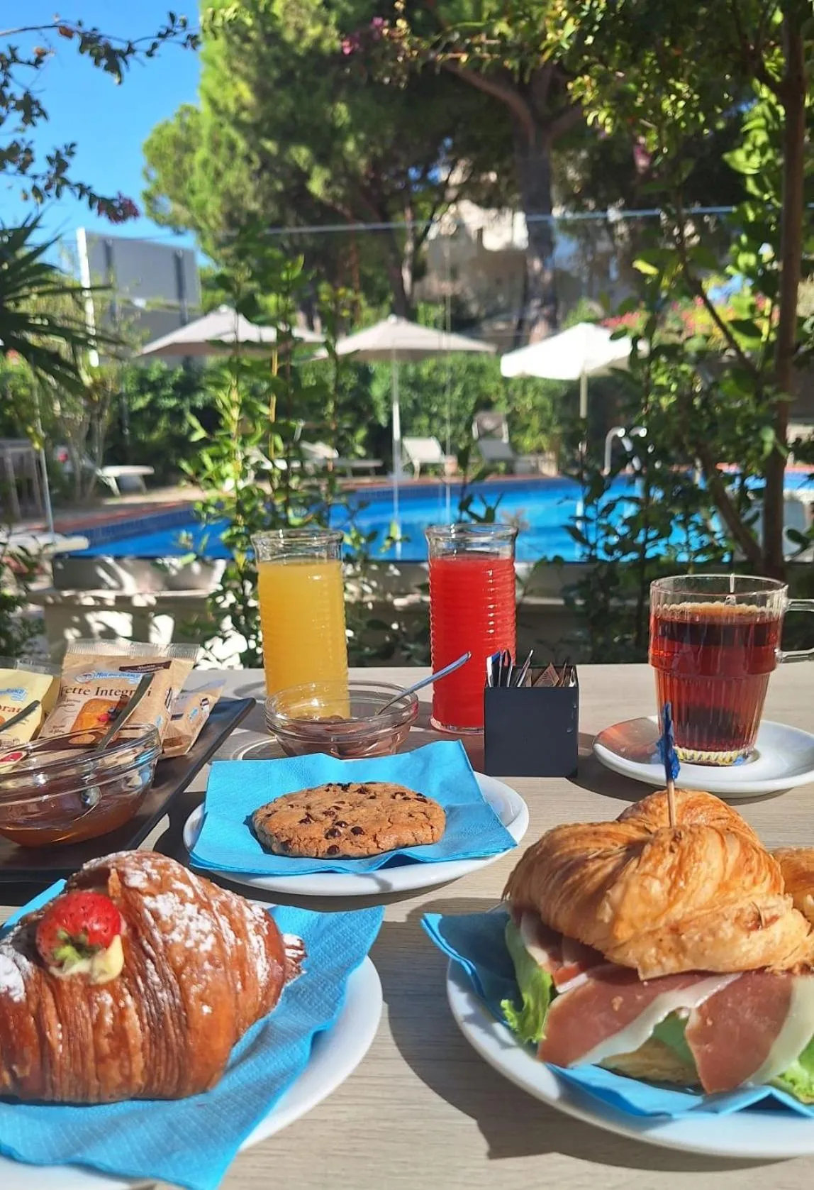 Garden in Hotel Schiller