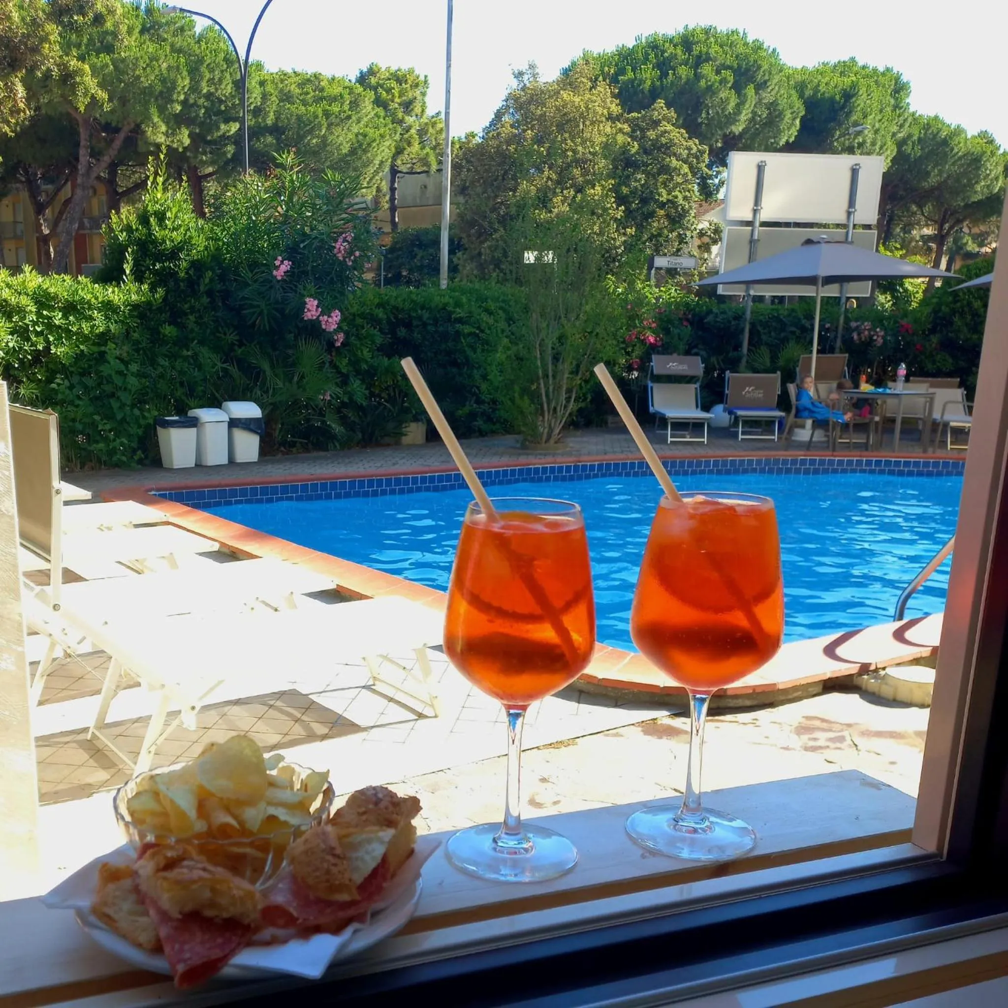 Garden in Hotel Schiller