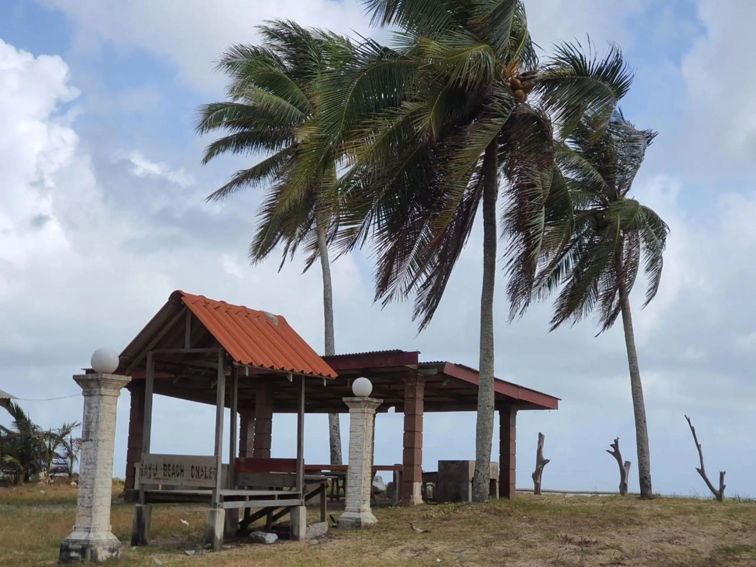 Garden in Hotel O Bayu Chalet